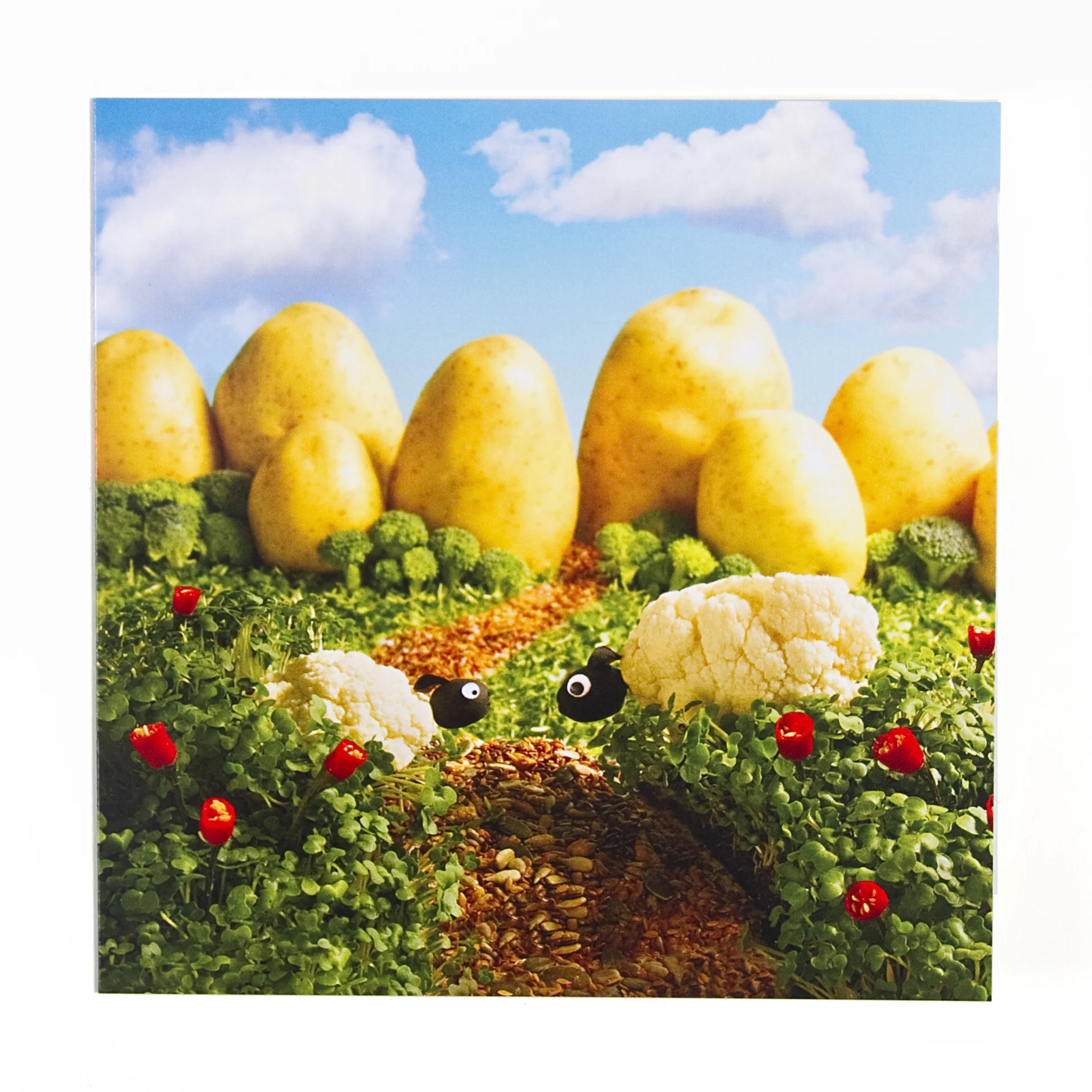 Sheep Card.jpg