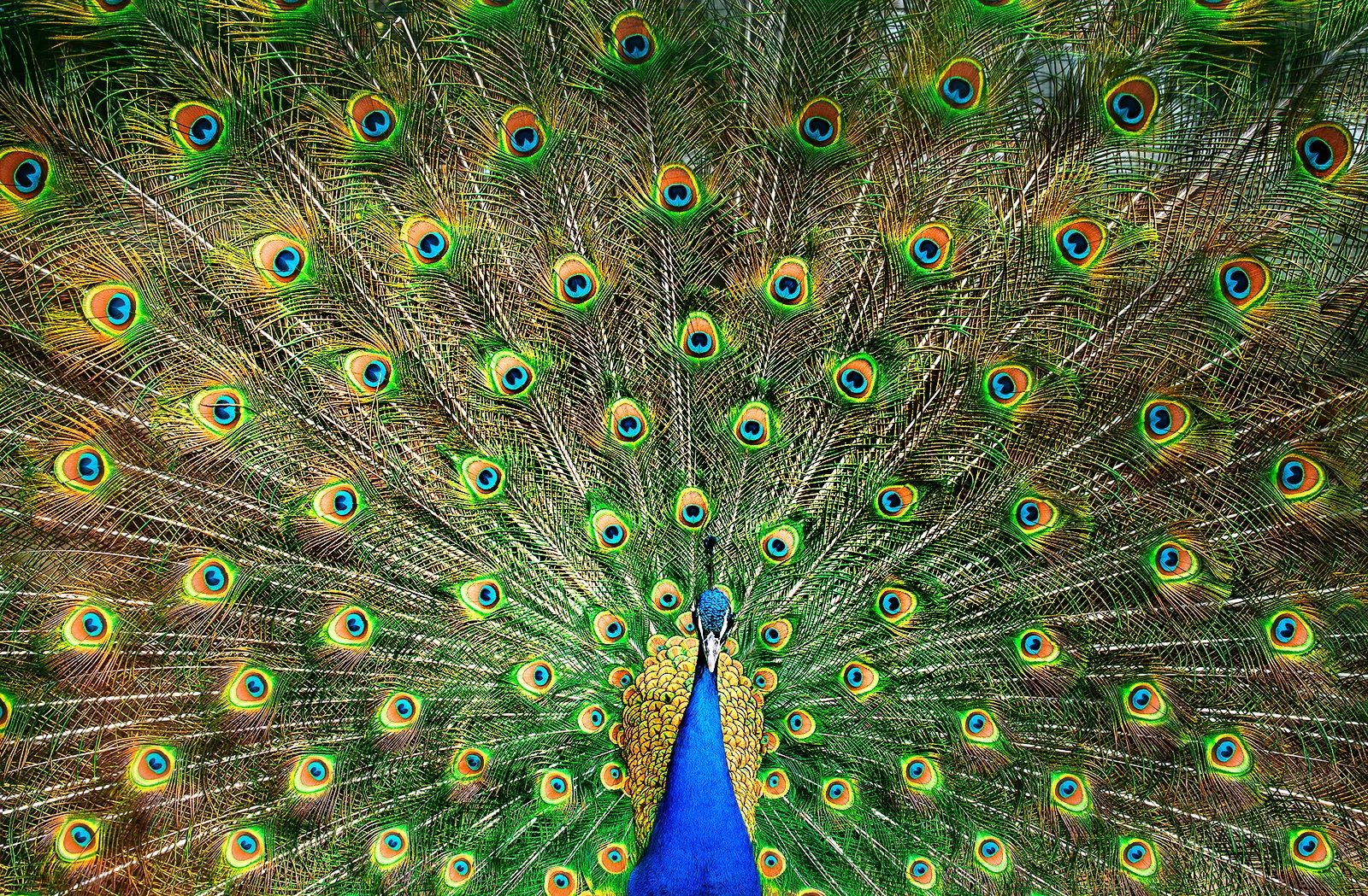 Customer lifetime value