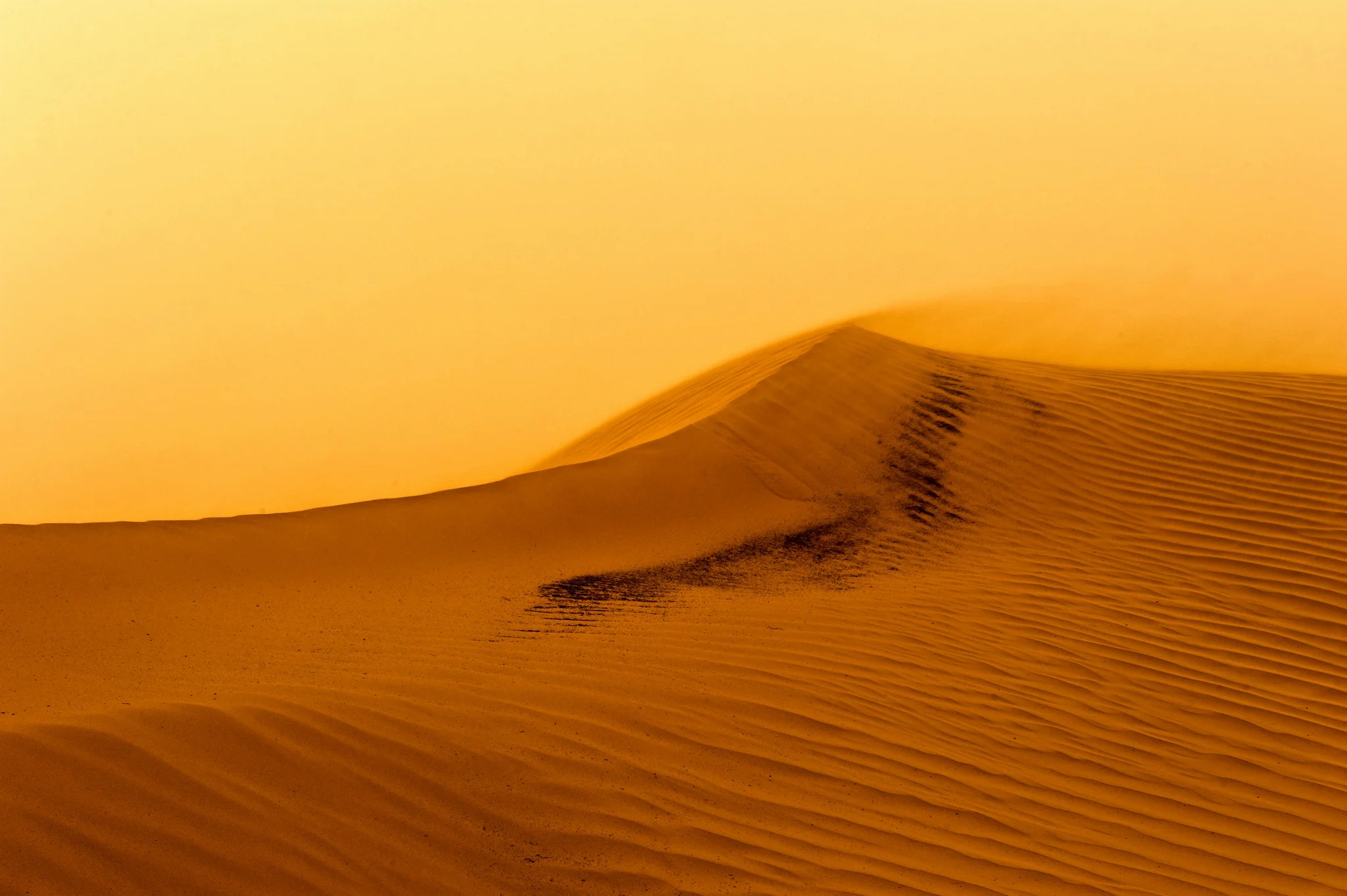 Cohort layering momentum