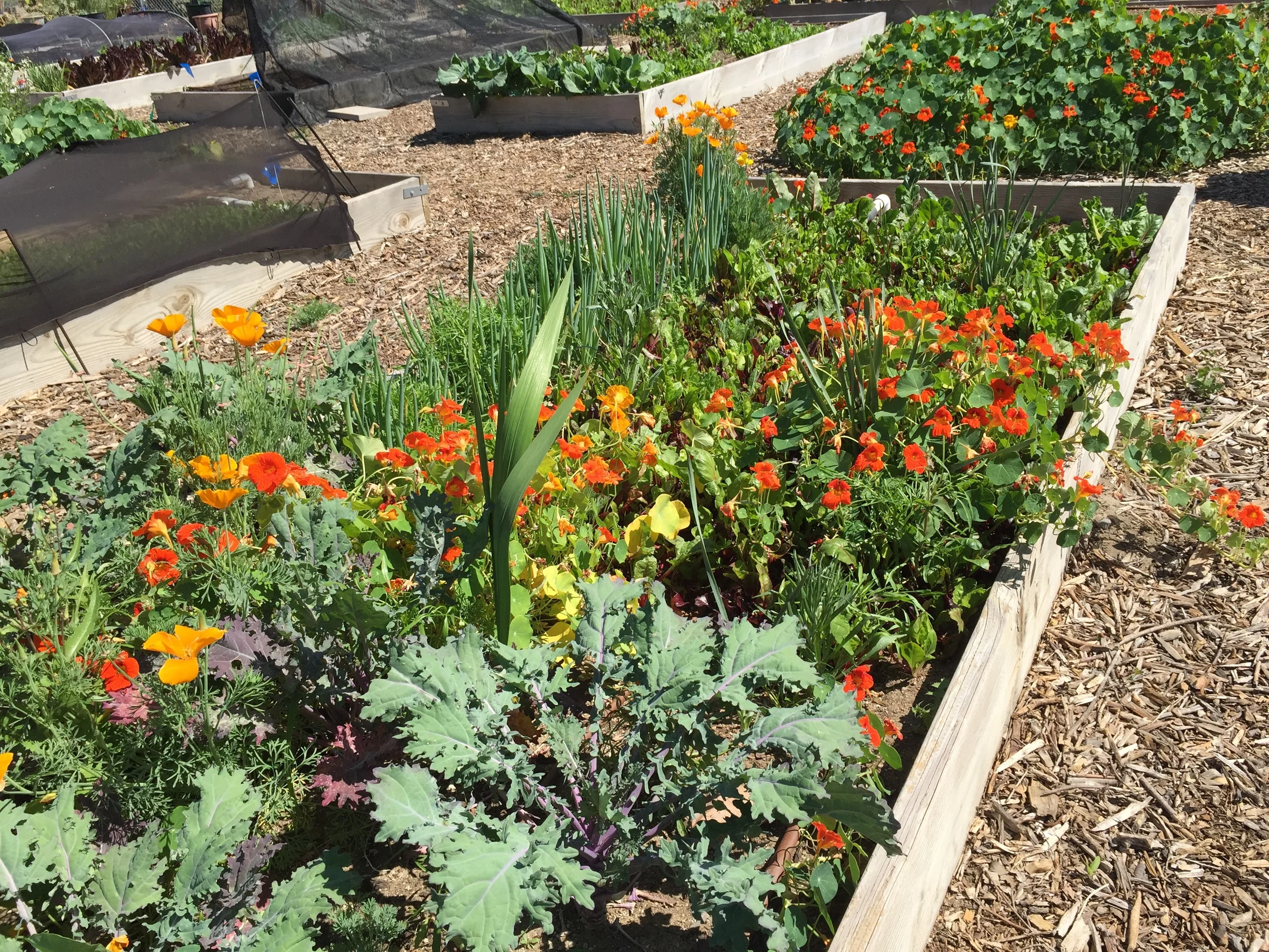 Why We do it - header.JPG