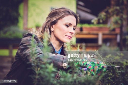 Photo by Sally Anscombe/Moment / Getty Images