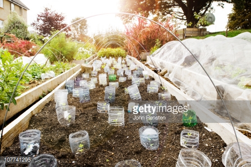 Photo by John Rensten/DigitalVision / Getty Images