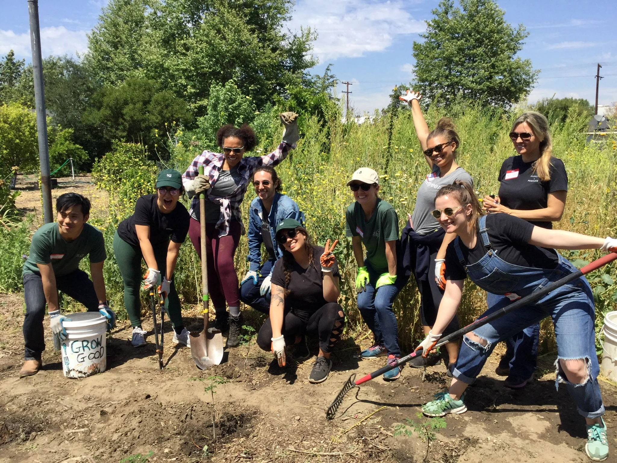 Community Volunteer Day!