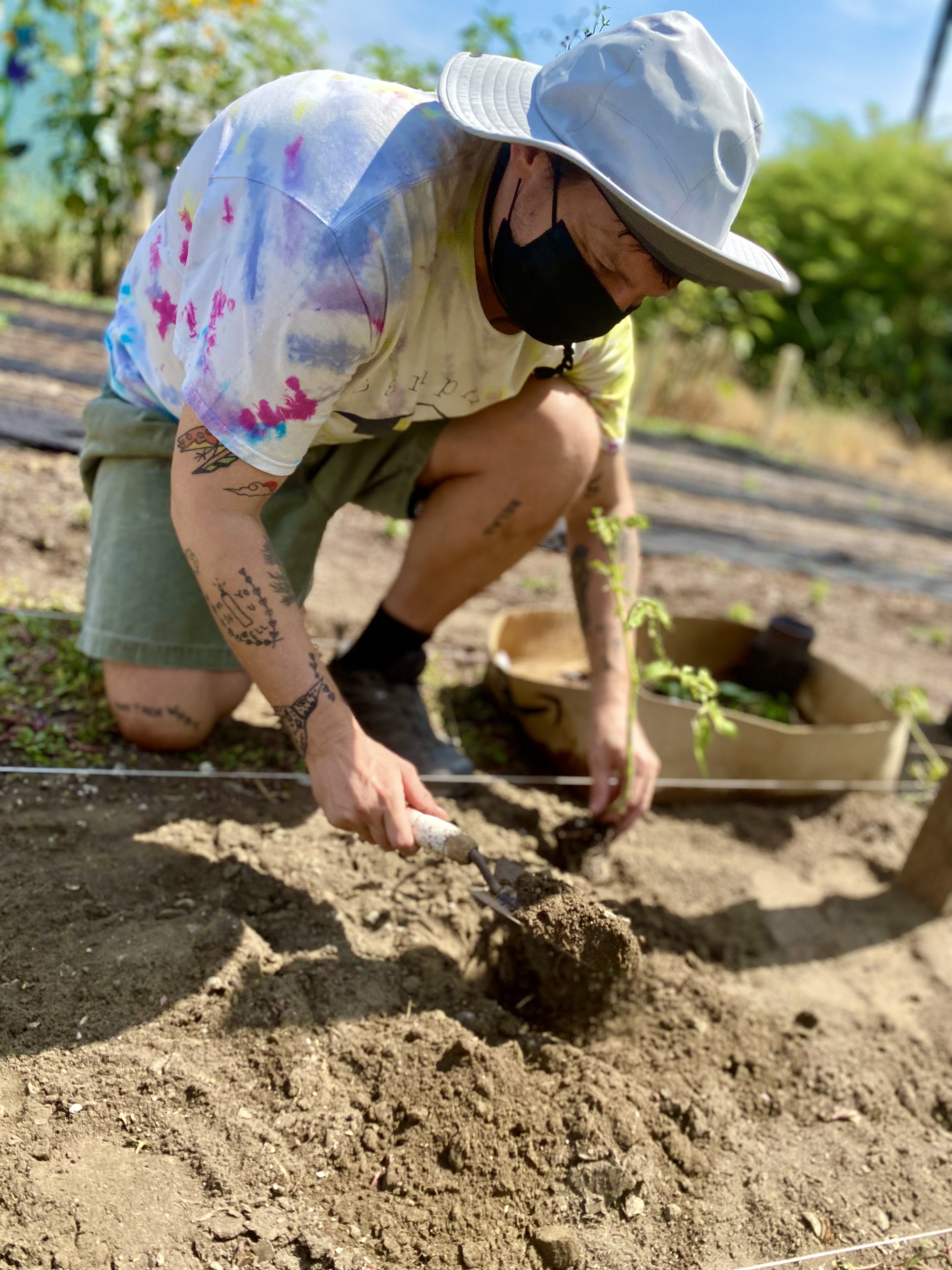 Planting tomatoes GG 2.jpeg