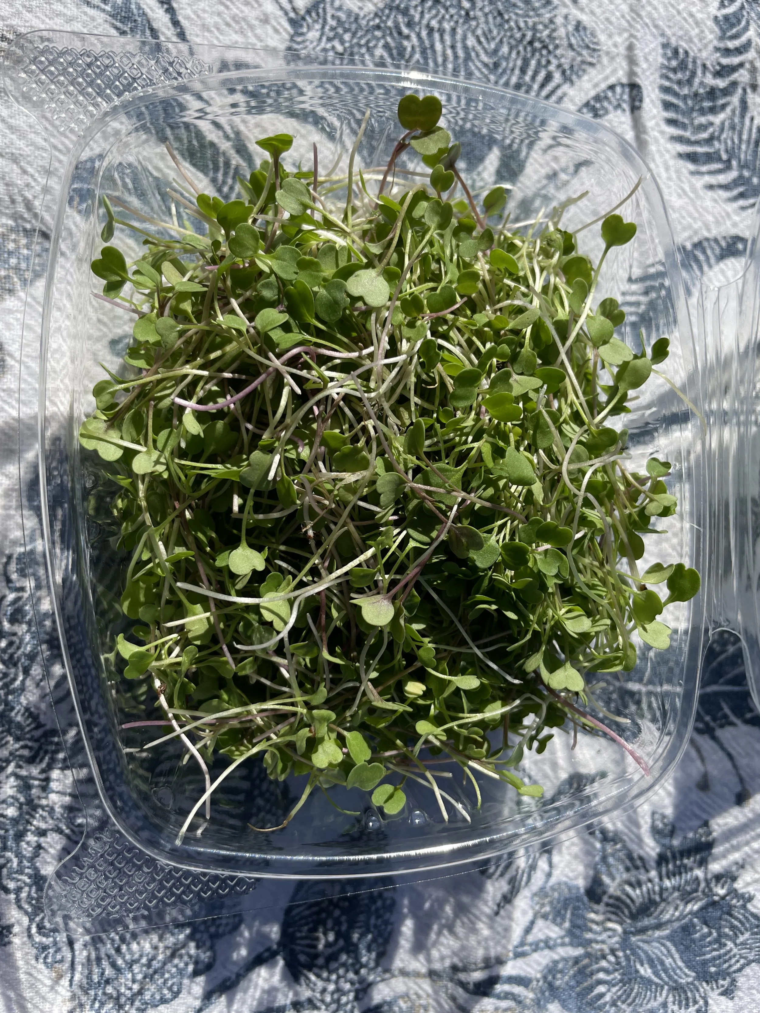 GrowGood Popup Farmer's Market