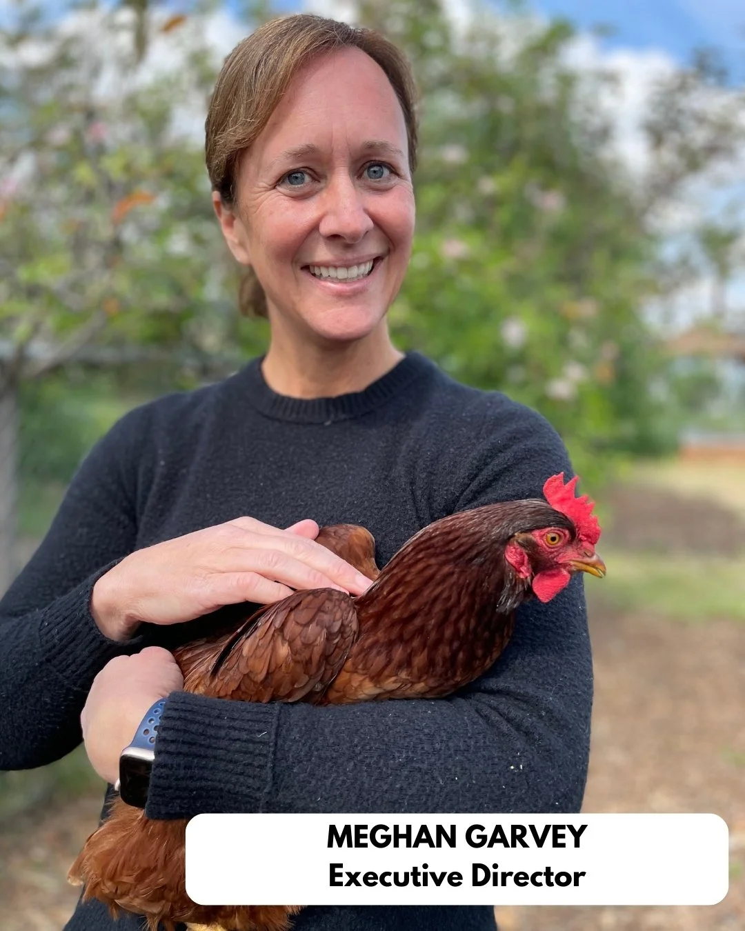 Team photos for website.jpg