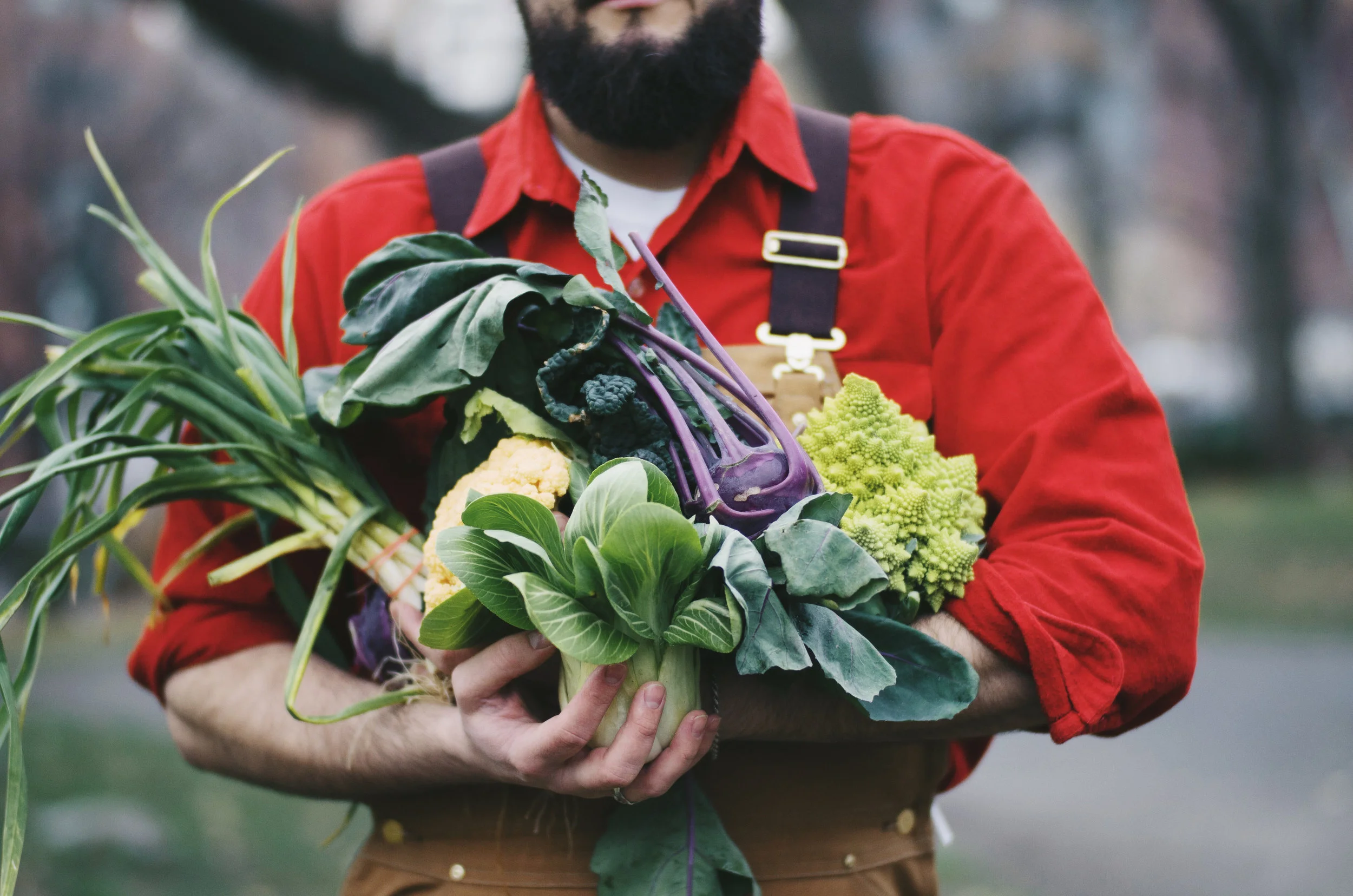A winter's produce haul from the Union Square Farmers Market. Photo taken by @tutes.