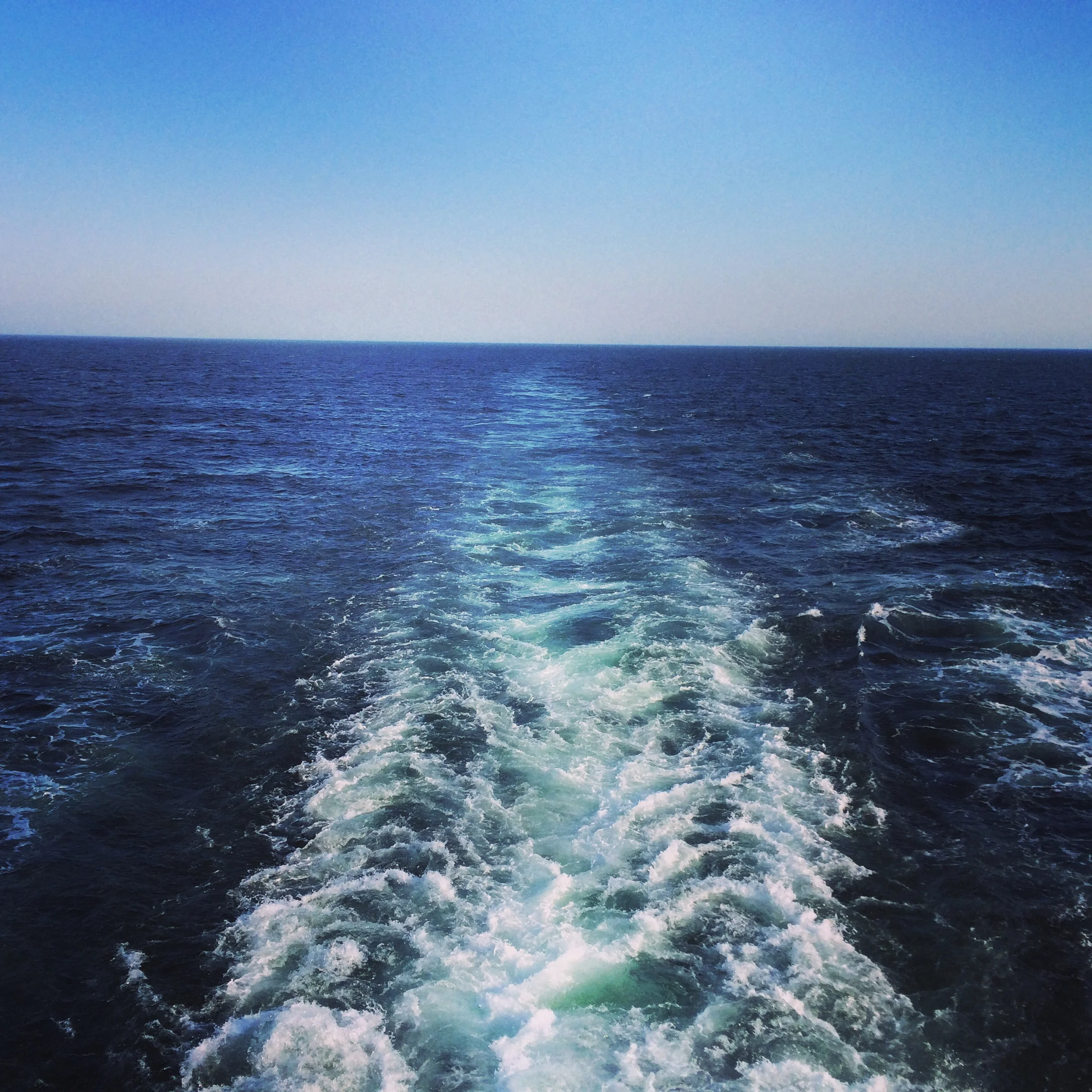 IMG_5701.JPG