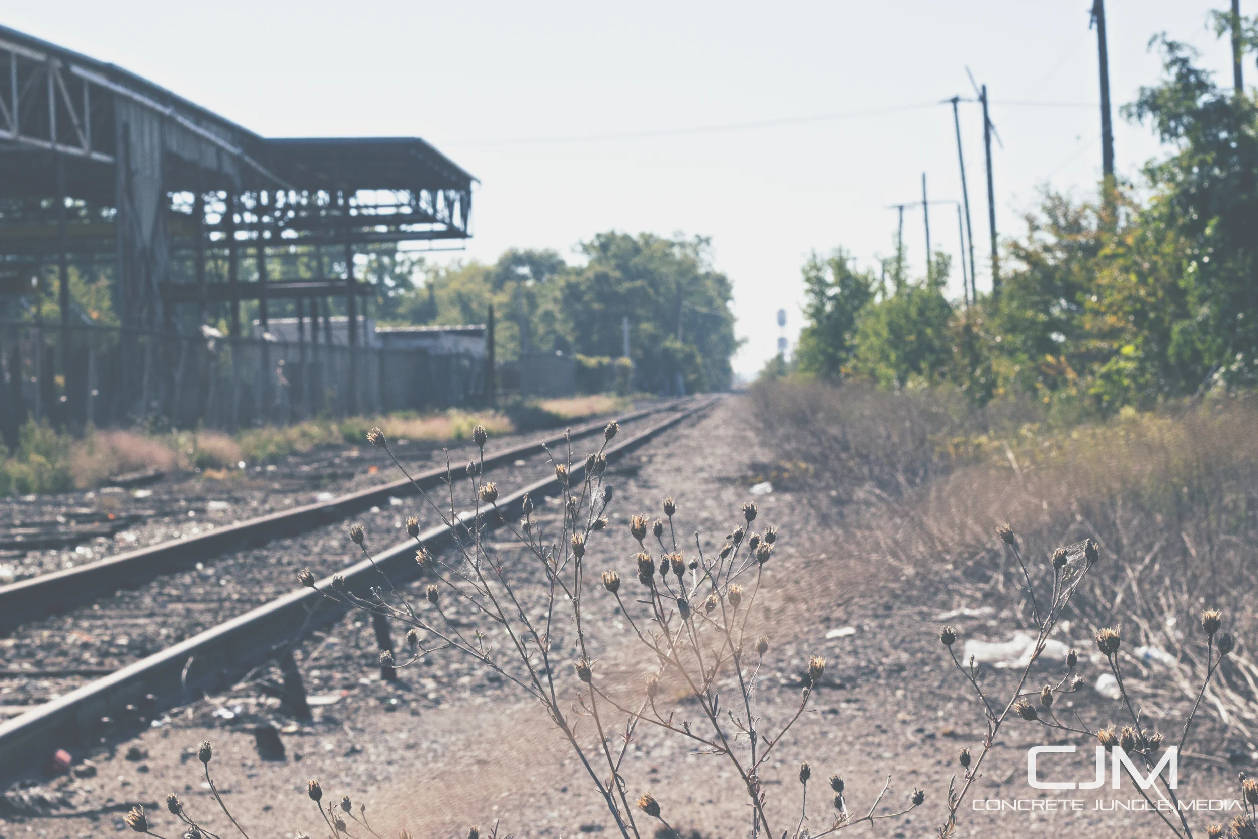 20140927-detroit railroad tracks.jpg
