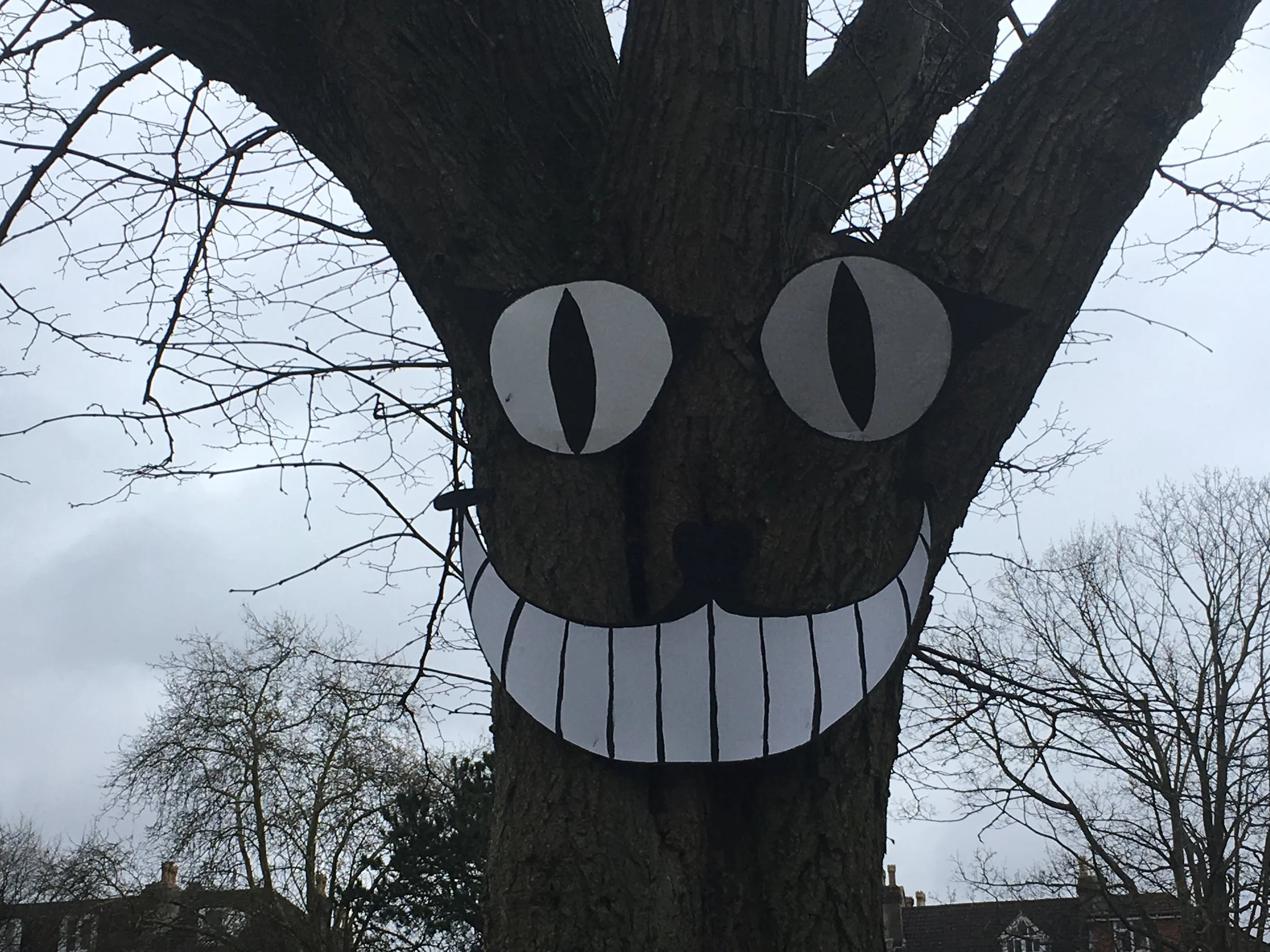 Who's looking at you?