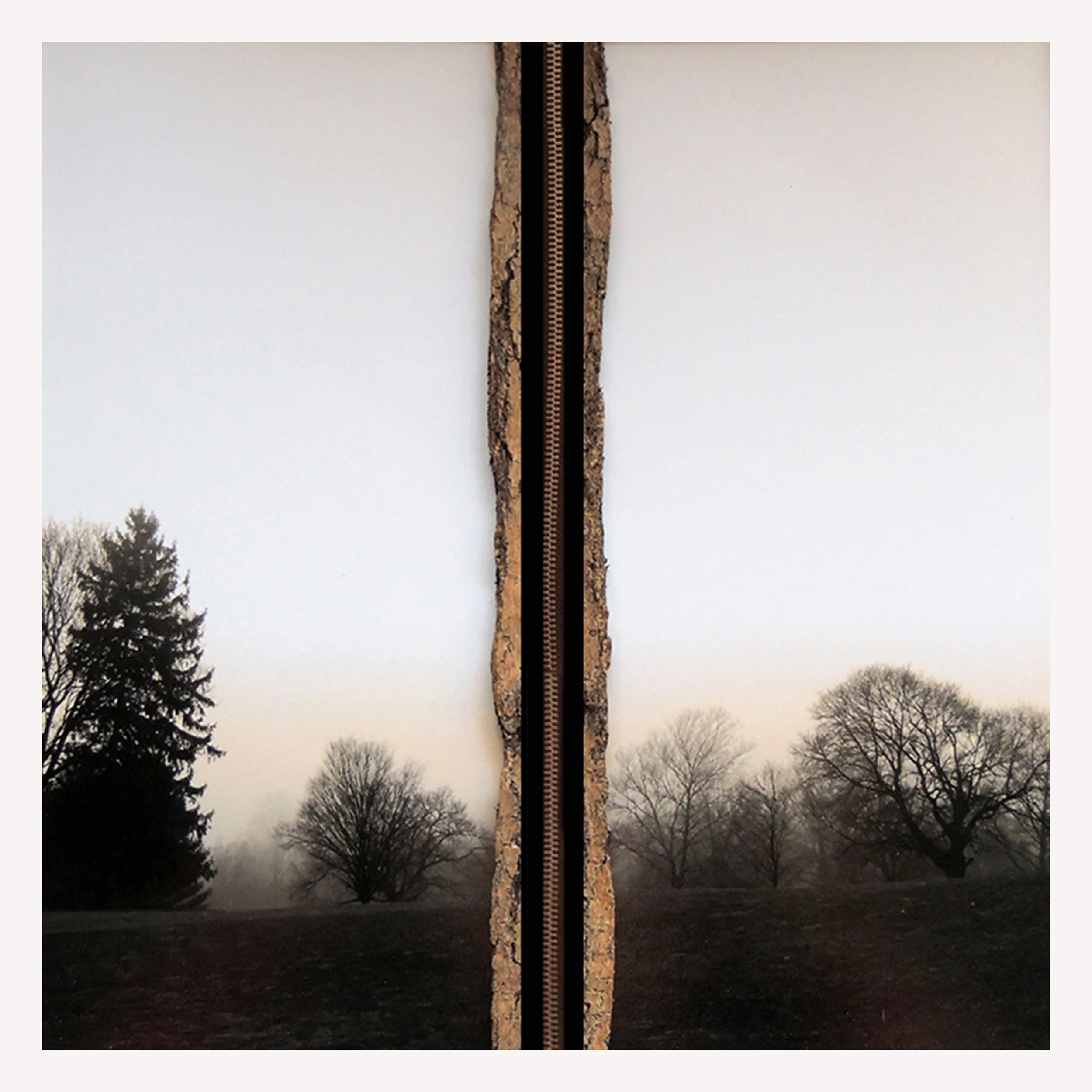 Double Vision with Zipper-Elisa Pritzker-2014.jpg