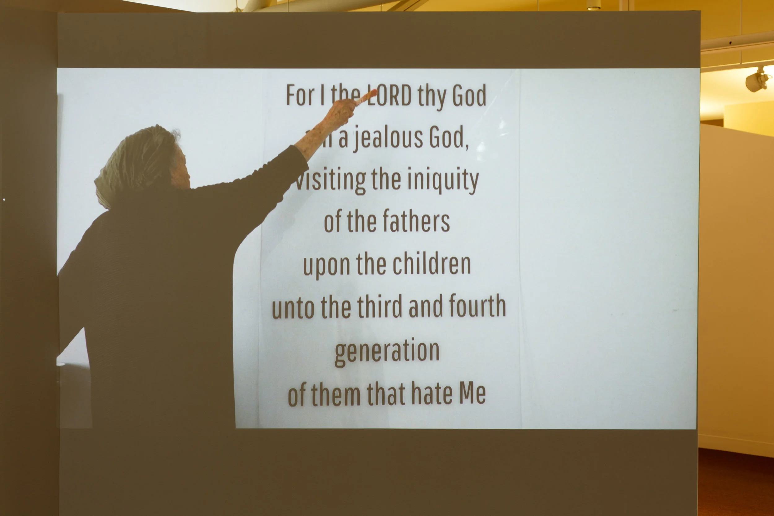 Vanishing Pink Lord.  Photo by Heratch Ekmekjian.JPG