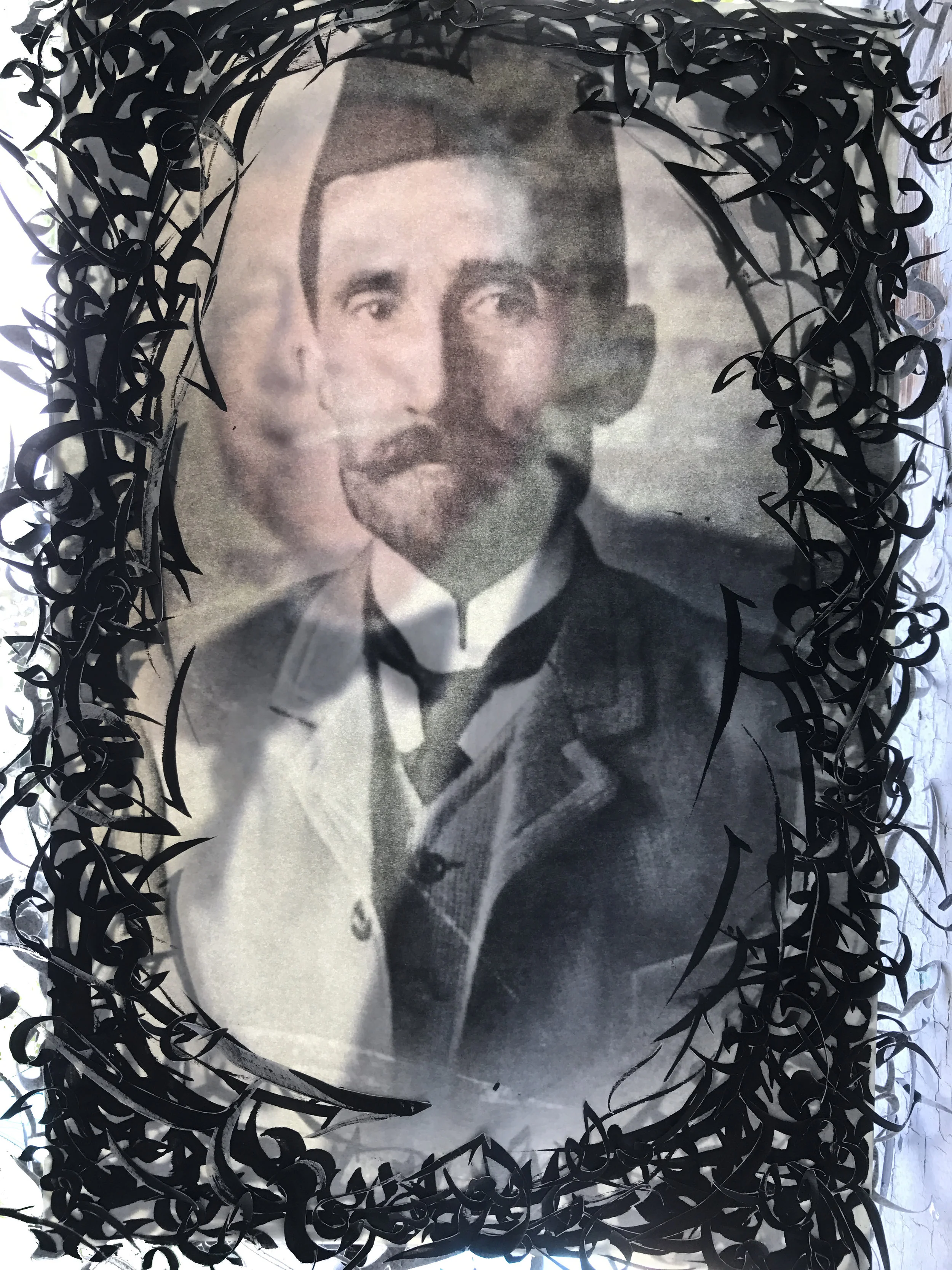 LenoreCohen_irreversibletransparent.jpg