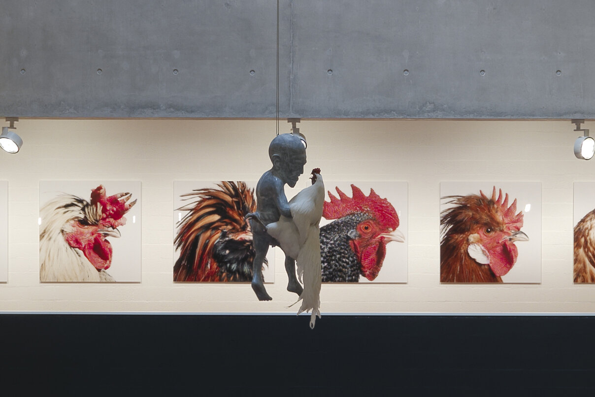 The Jester, Marble sculpture, taxidermy Cosmopolitan Chicken, ring, 80 x 42 x 28 cm, 2019, photo Enrico Cano