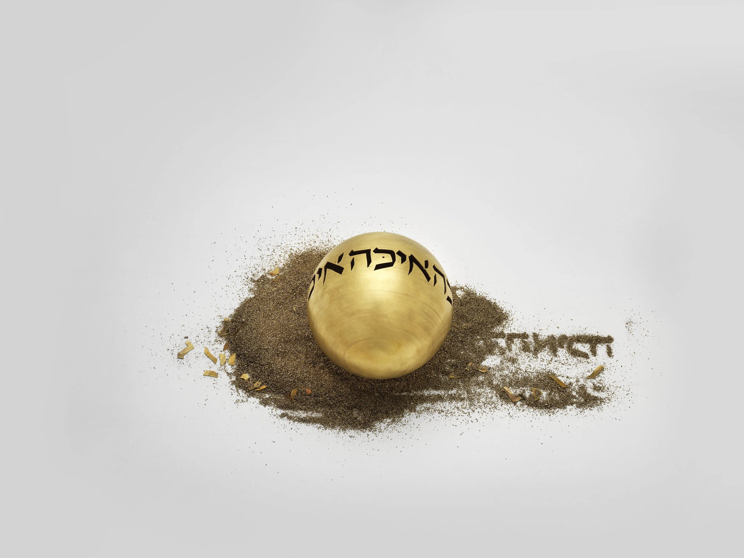 Sari Srulovitch