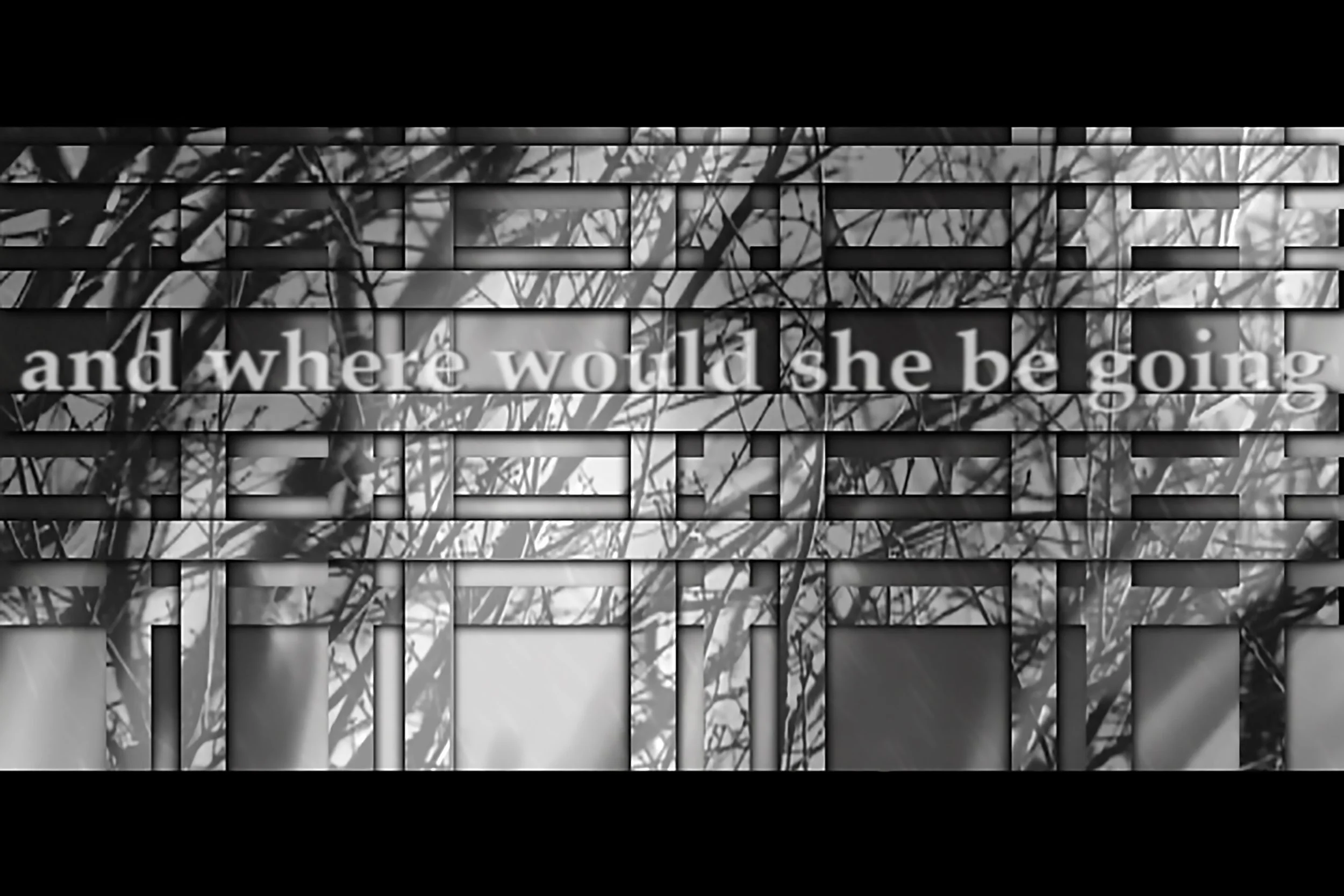 Beryl Korot, Etty-video still, 2009-2010