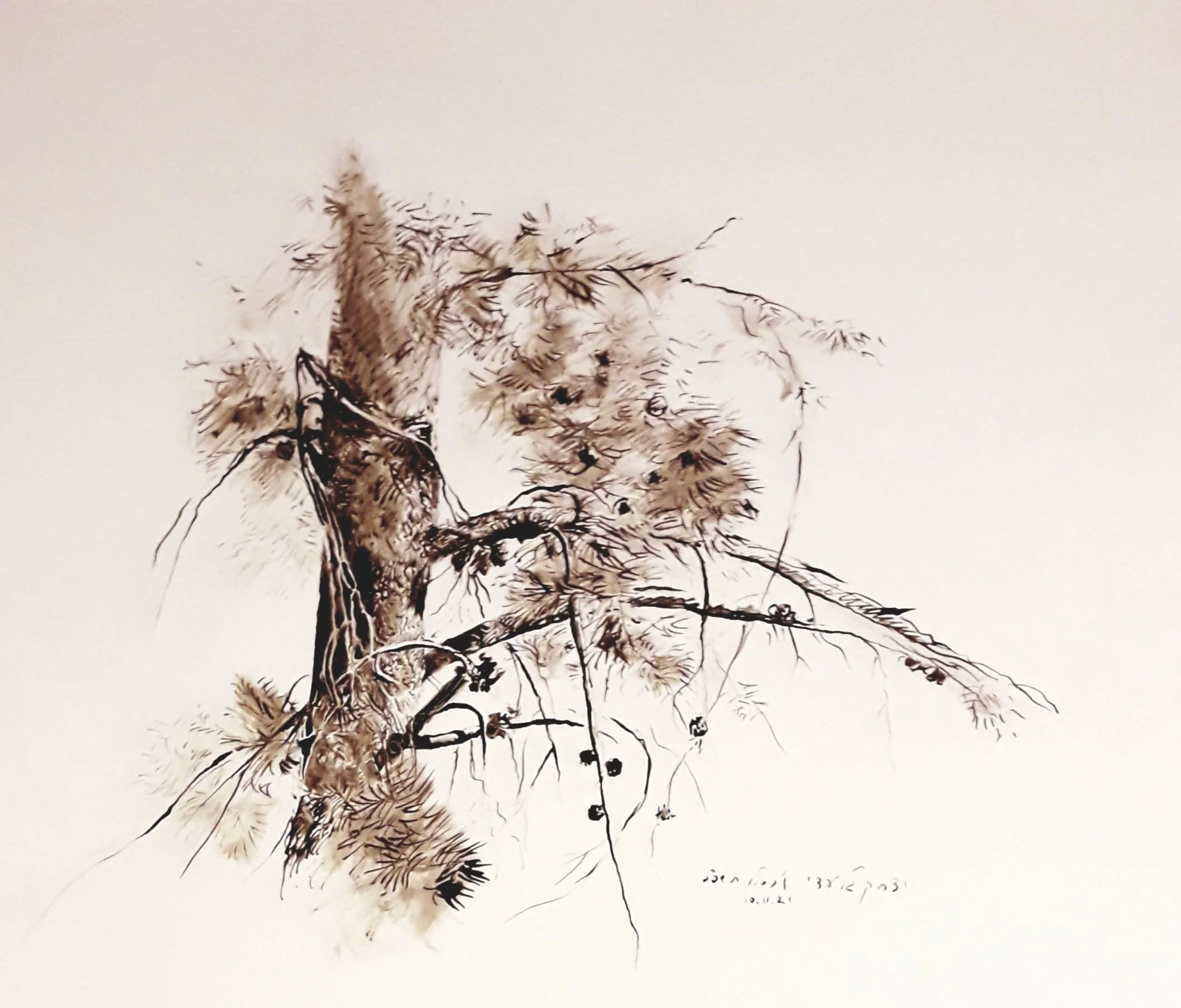 Yitshak Giladi, Pine Trunk, 2023