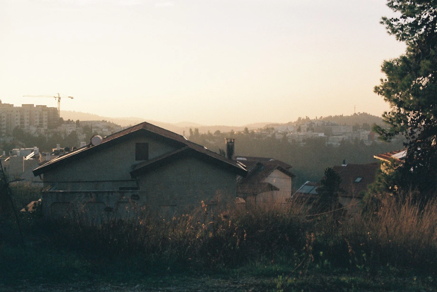 Noga Greenberg, Horizon 1
