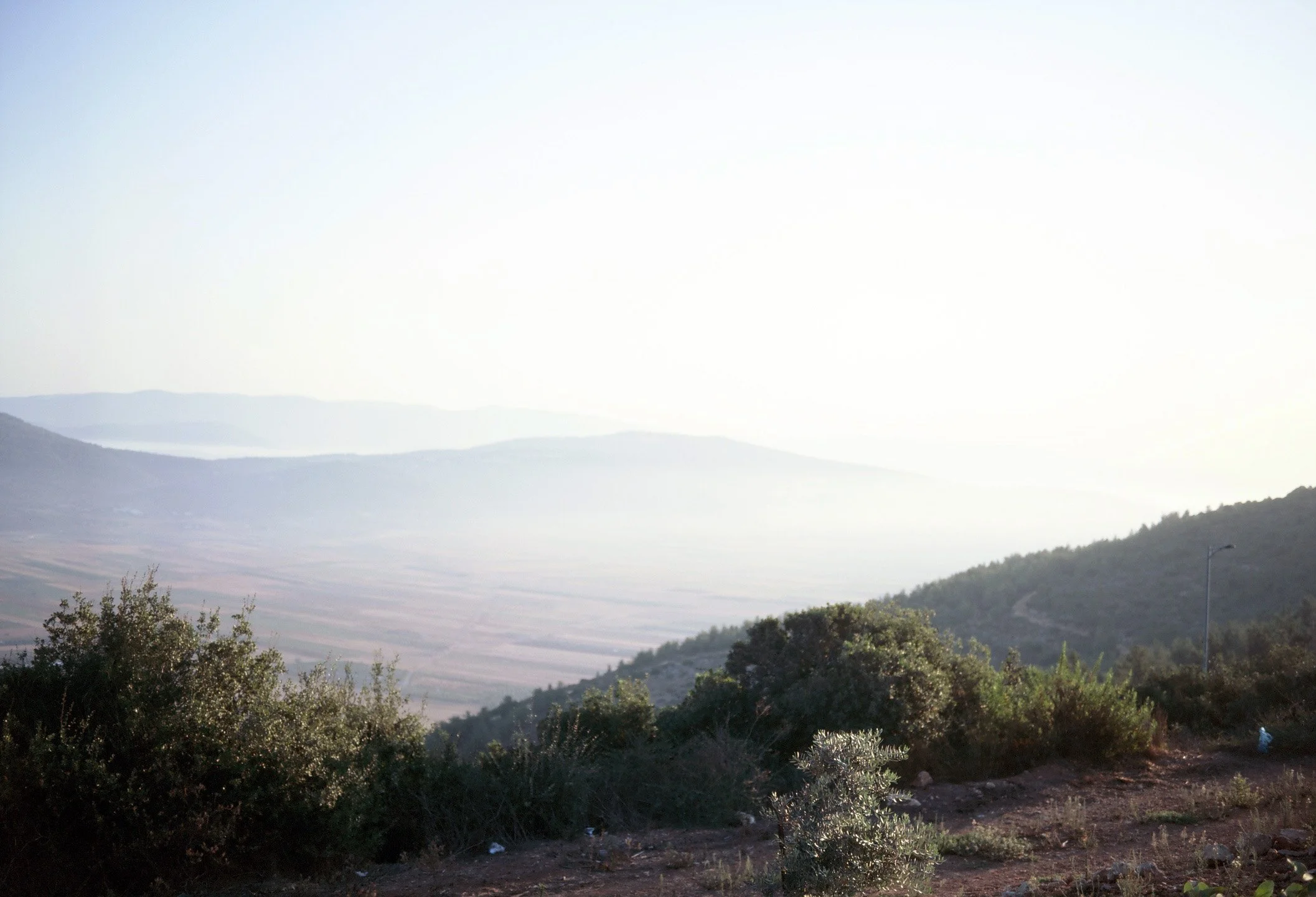 Noga Greenberg, Horizon 3 