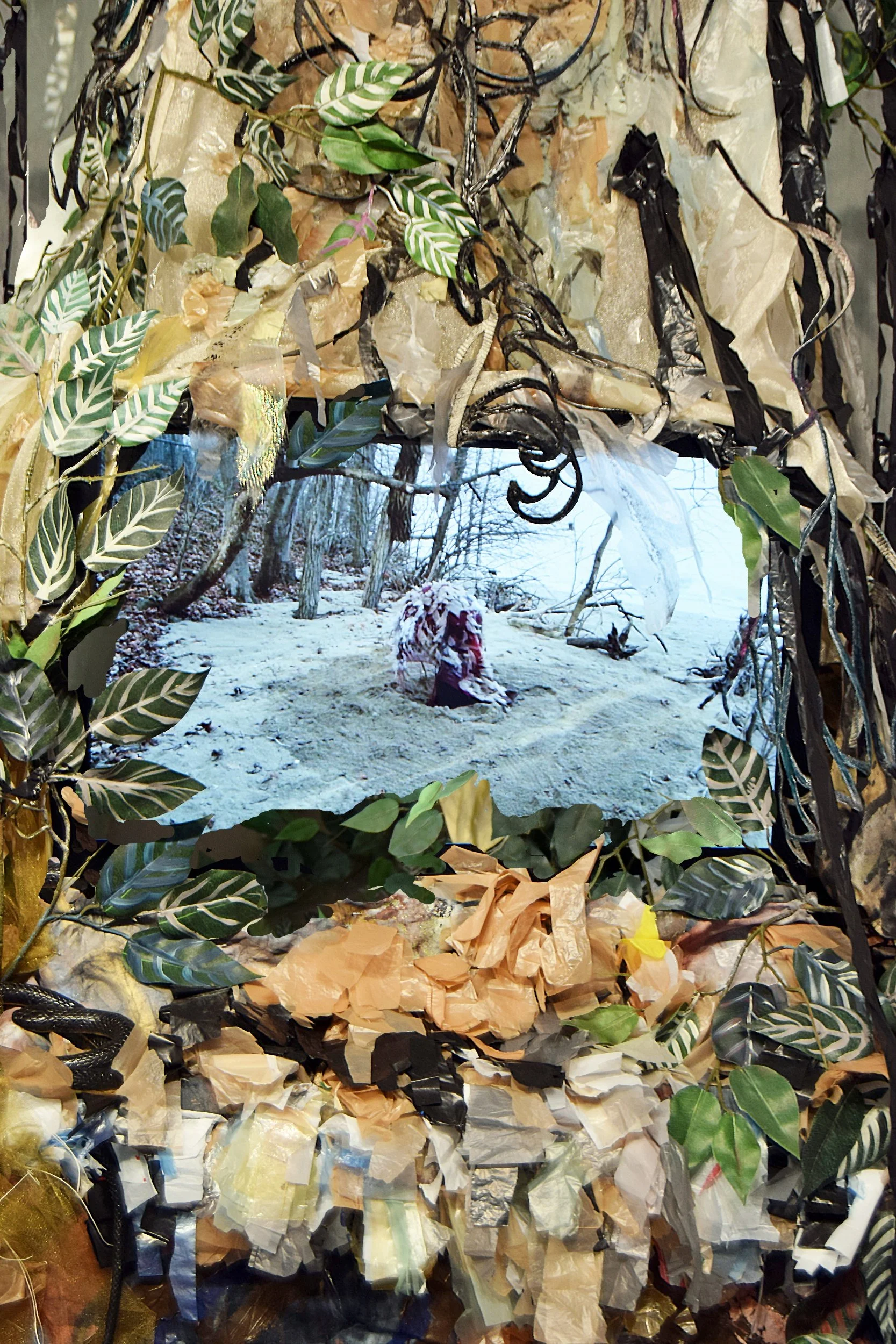 Lilach Schrag, A Place to Belong, 2024