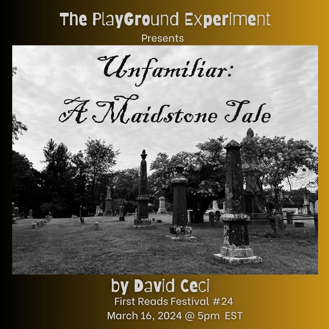 Unfamiliar A Maidstone Tale by David Ceci-3.jpg