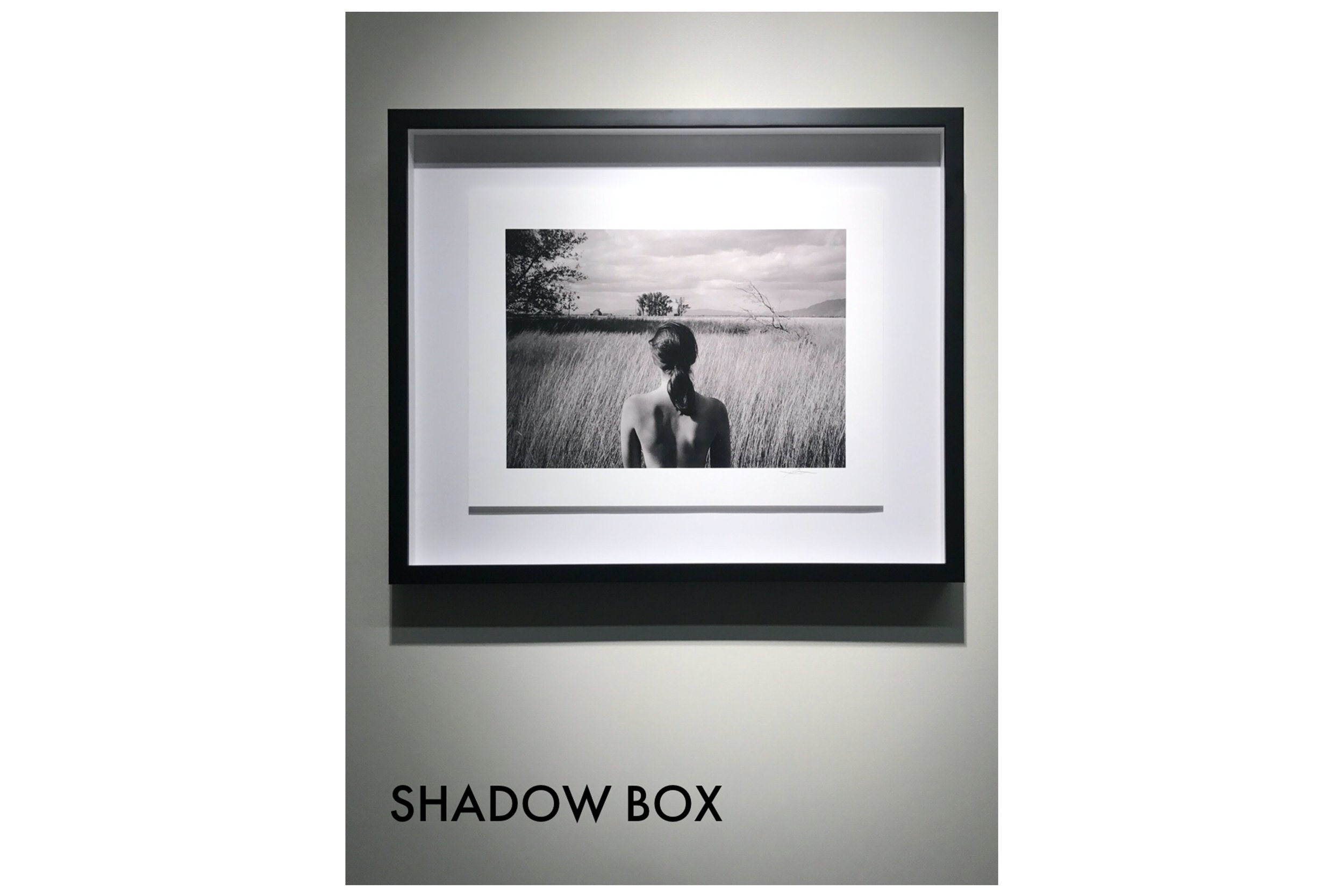 shadowbox.jpg