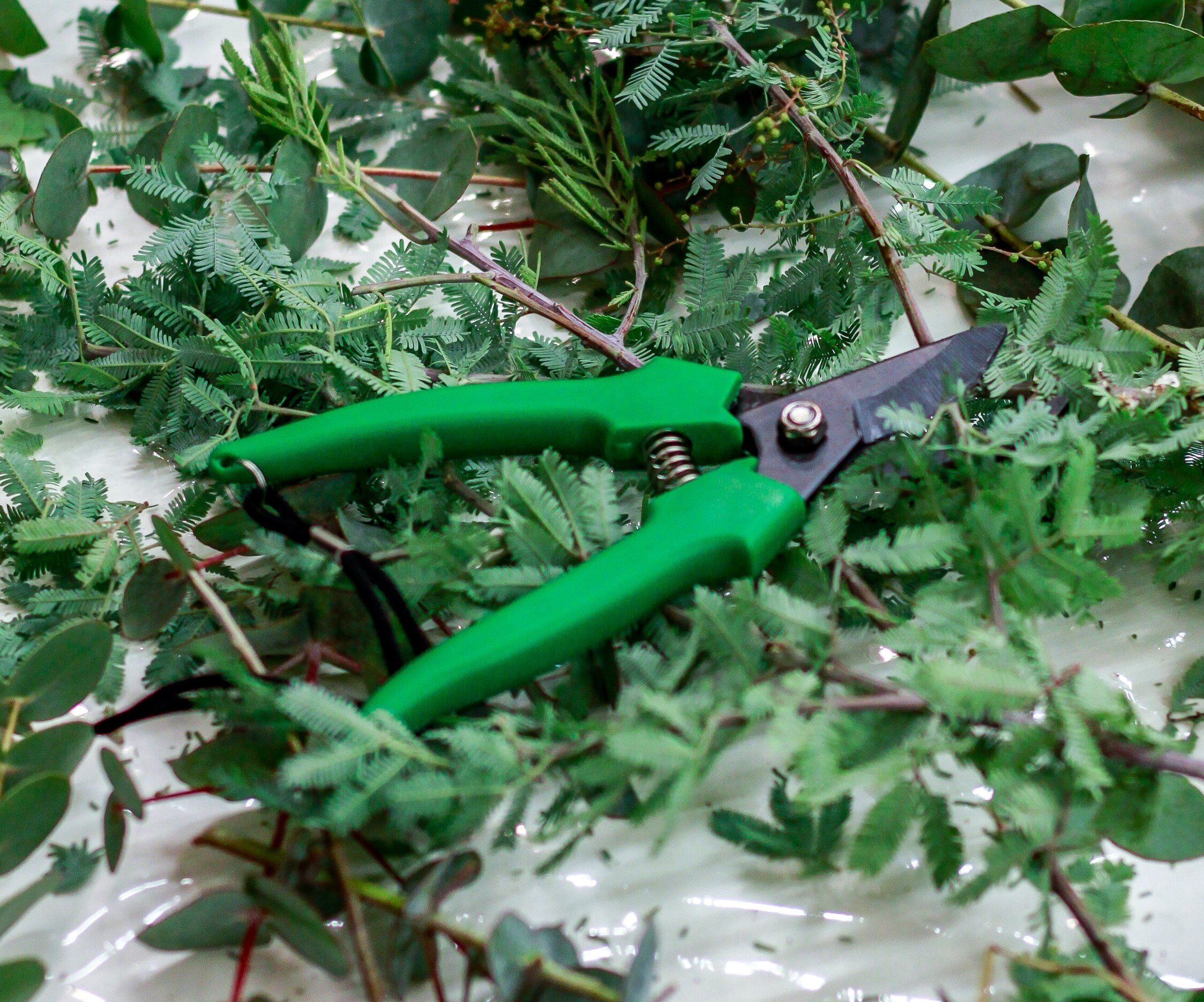 The 10 Best Pruning Shears