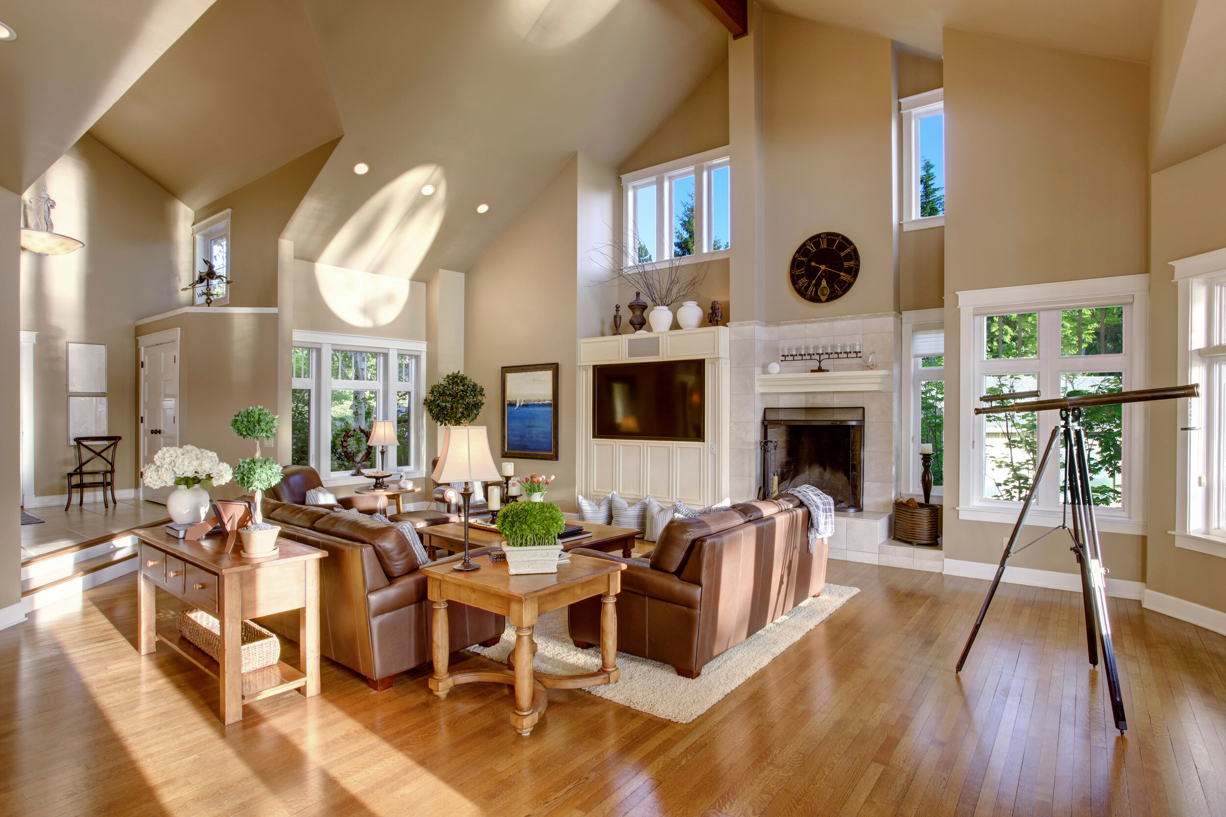 living room vaulted ceiling