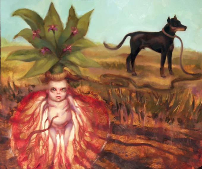 Mandrake