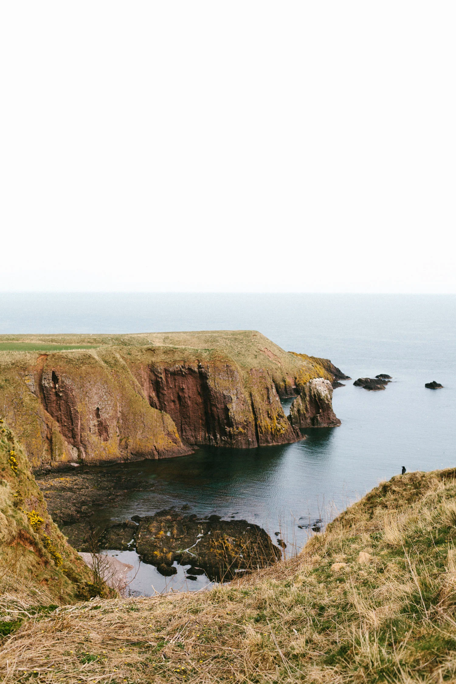 Mikaela Hamilton- Stonehaven-158.jpg