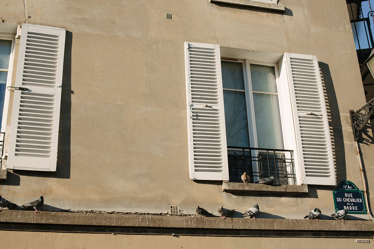 Mikaela Hamilton- Paris-107.jpg