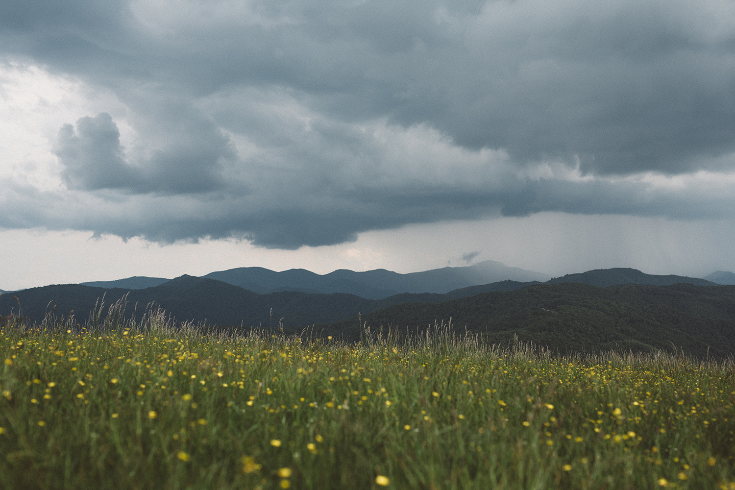 Mikaela Hamilton- Max Patch-6.jpg