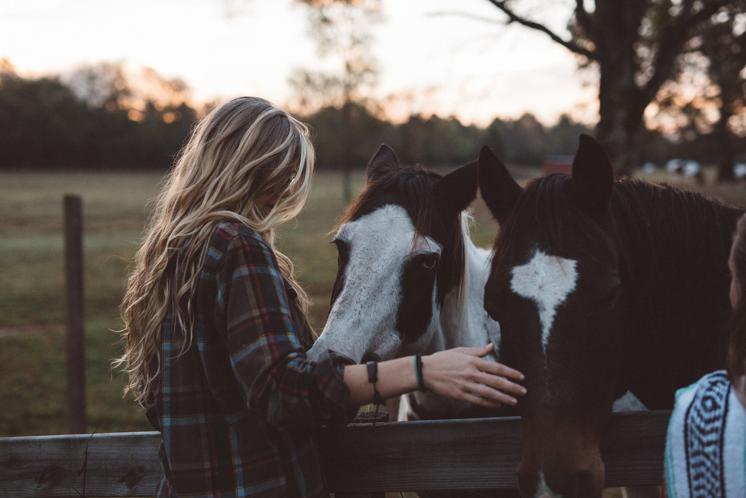 Mikaela Hamilton-Stillwaters Farm-128.jpg