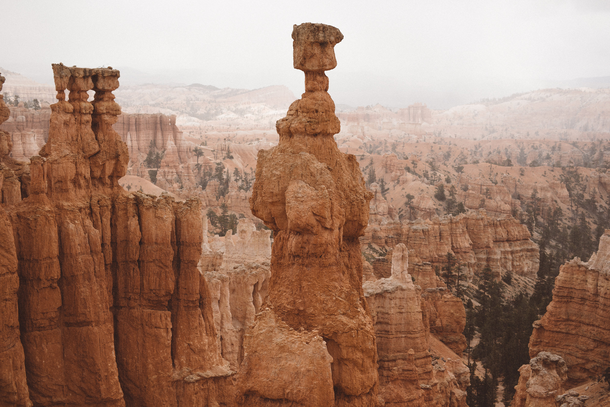 Mikaela Hamilton- Bryce-Capitol Reef-7 2.jpg