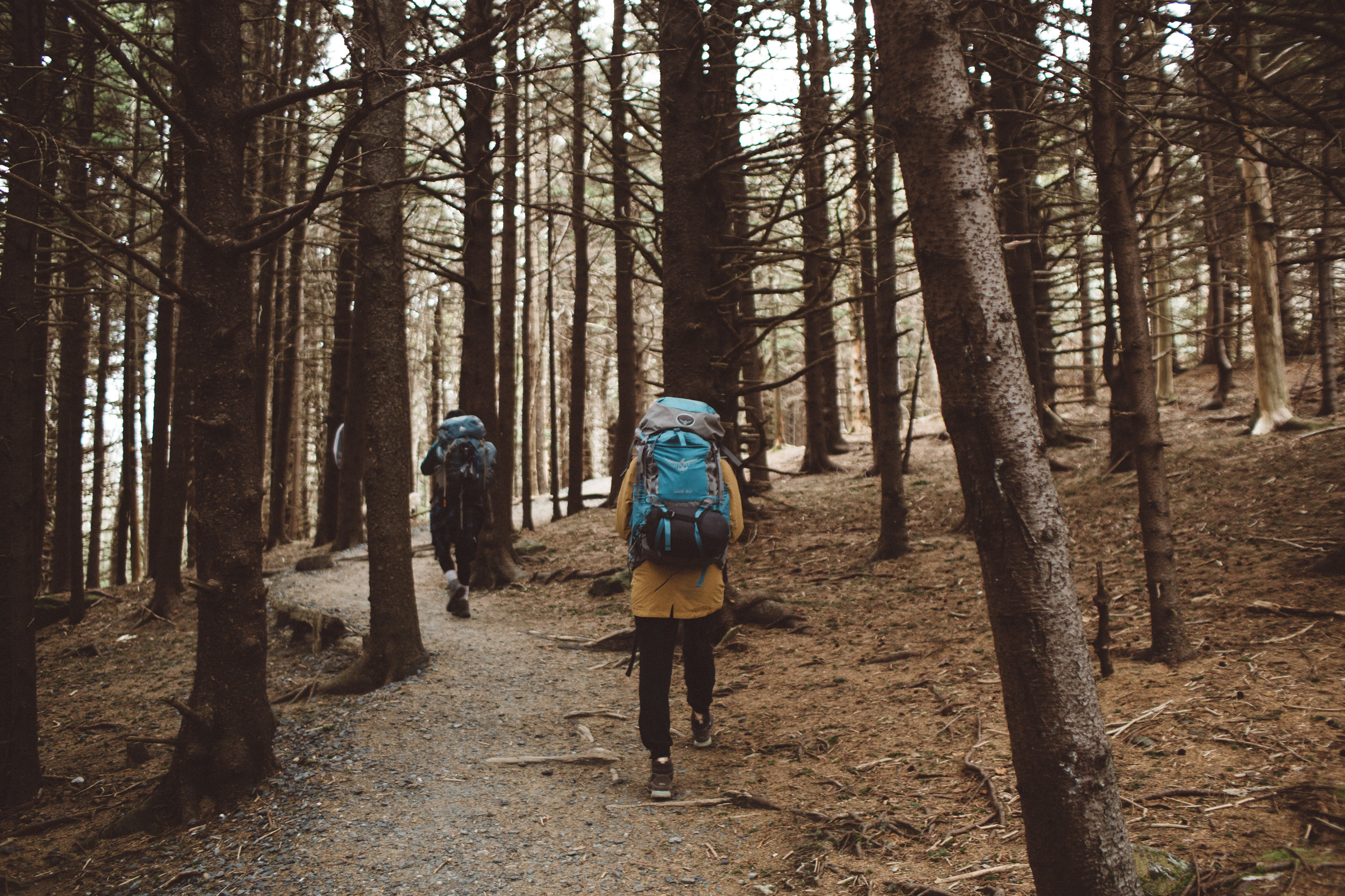 Mikaela Hamilton- Carvers Gap-10.jpg