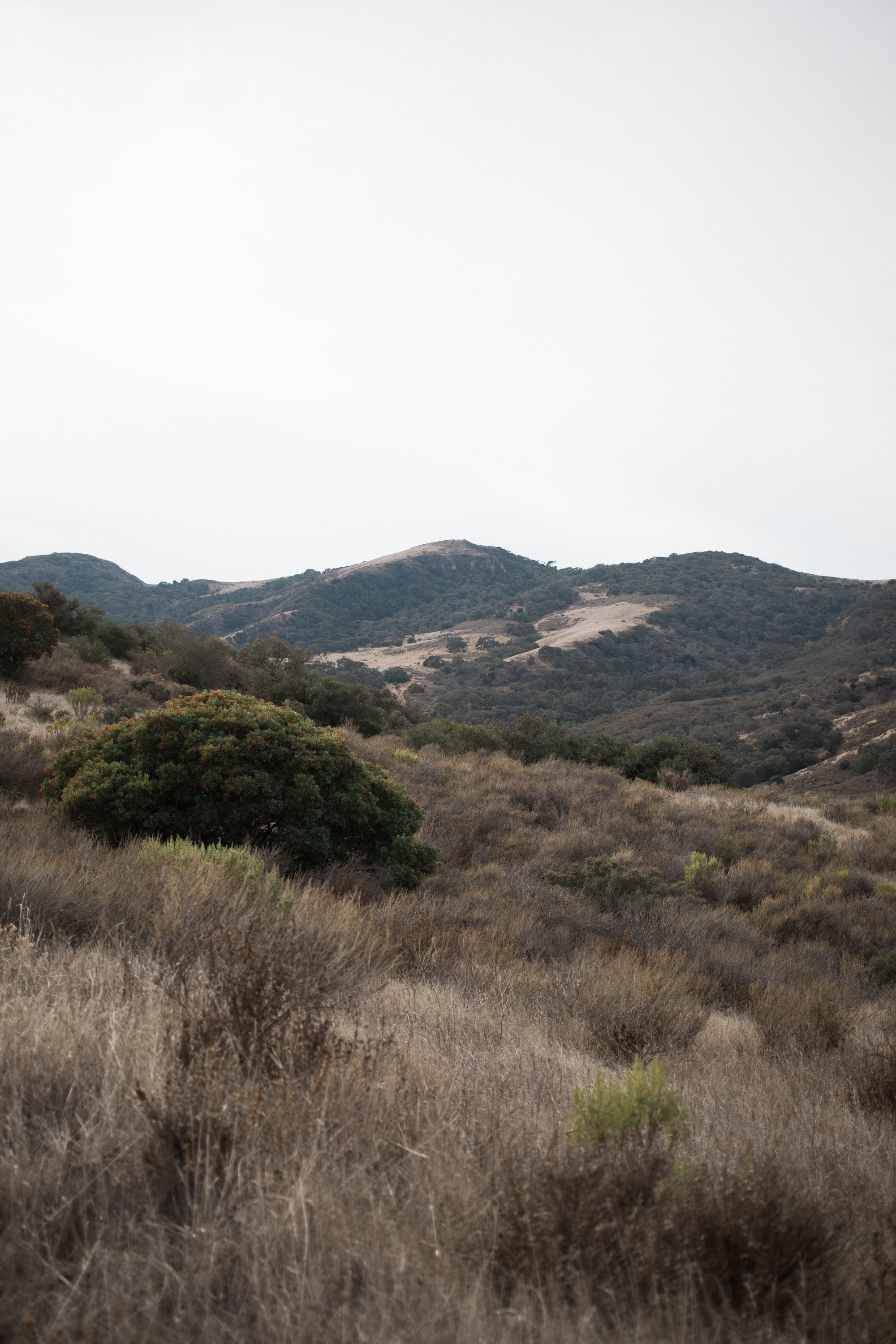 Mikaela Hamilton- Gaviota Peak-1.jpg