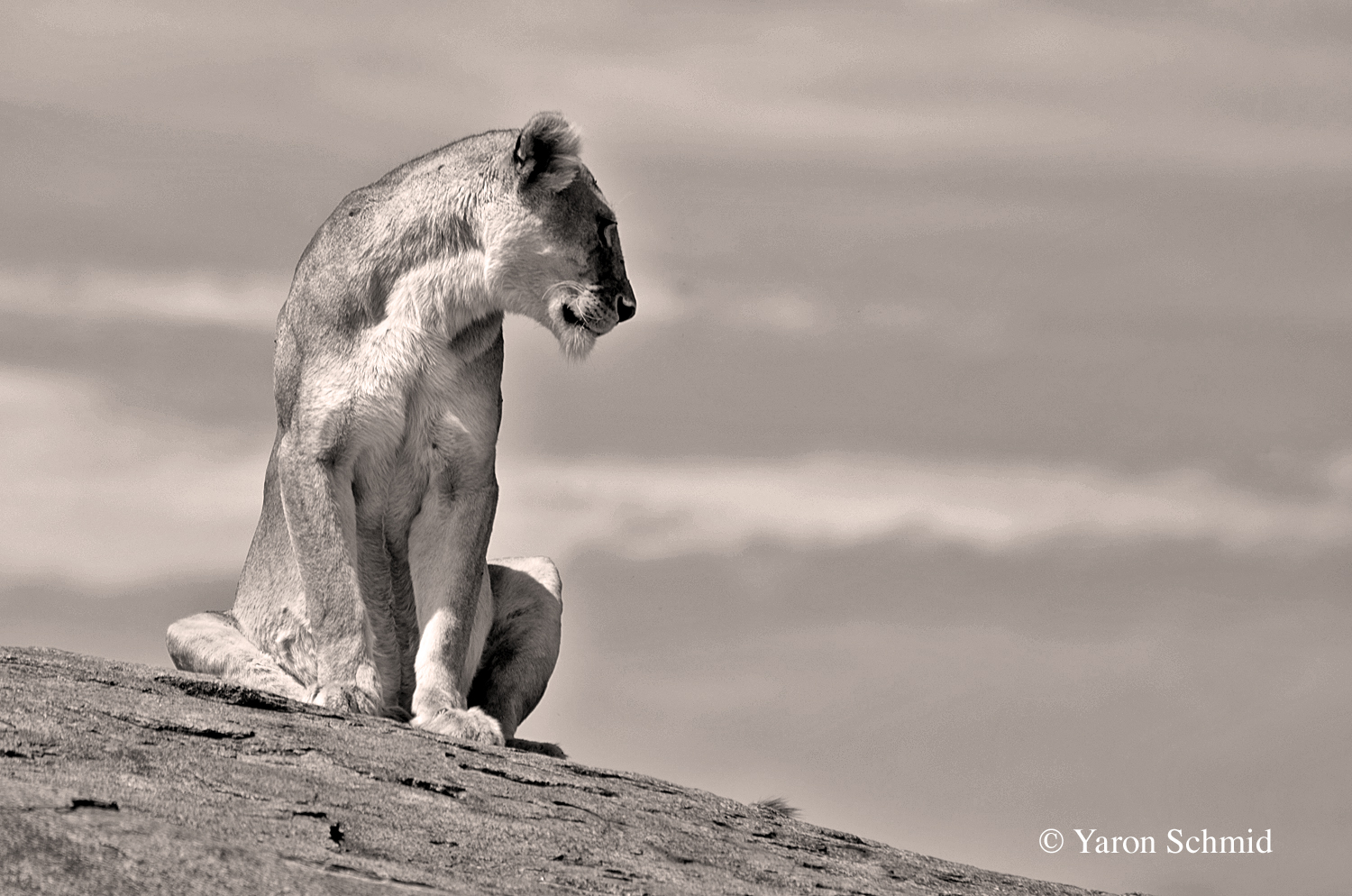 Alone at the Top