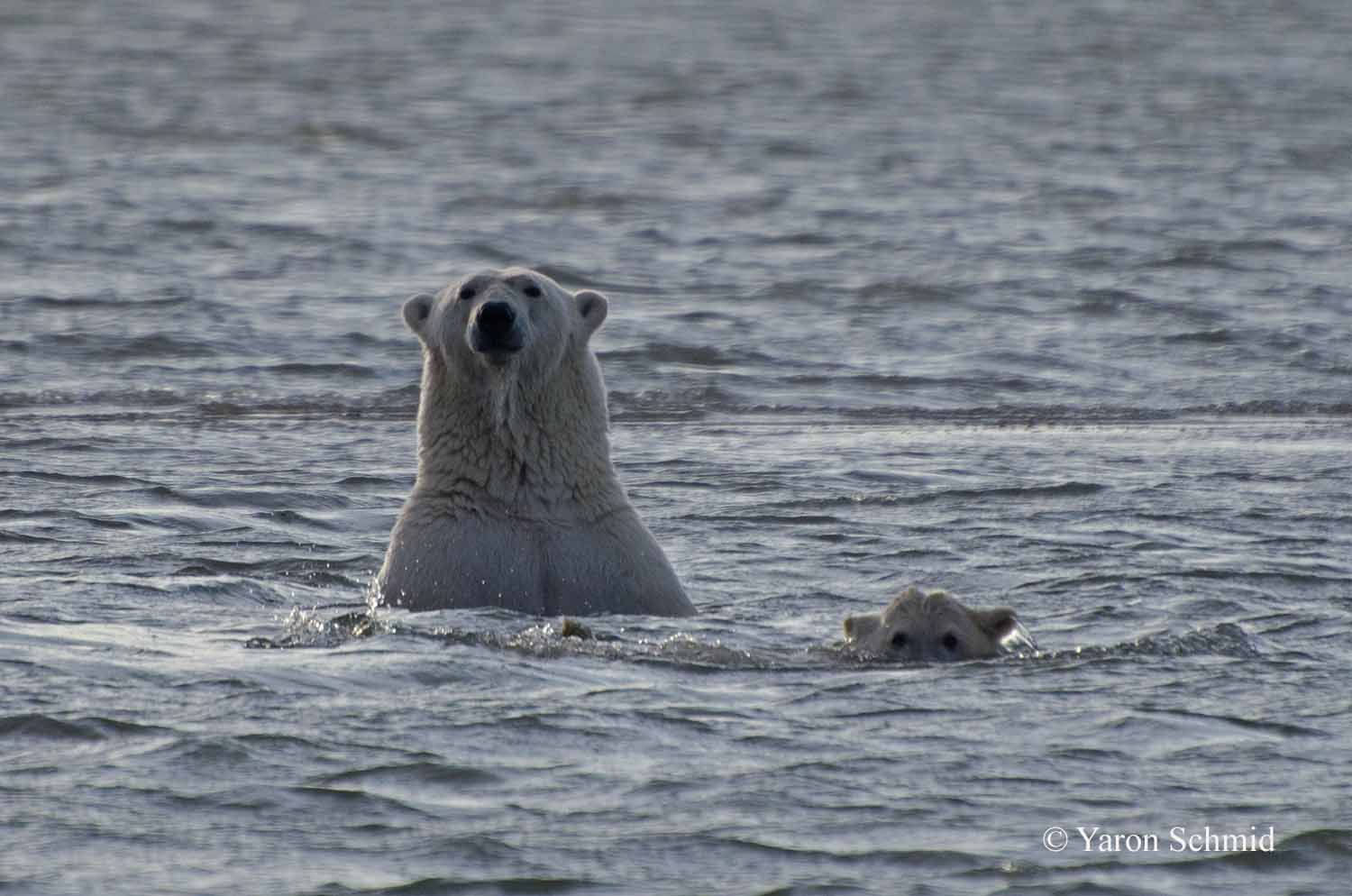 Wading in the Water