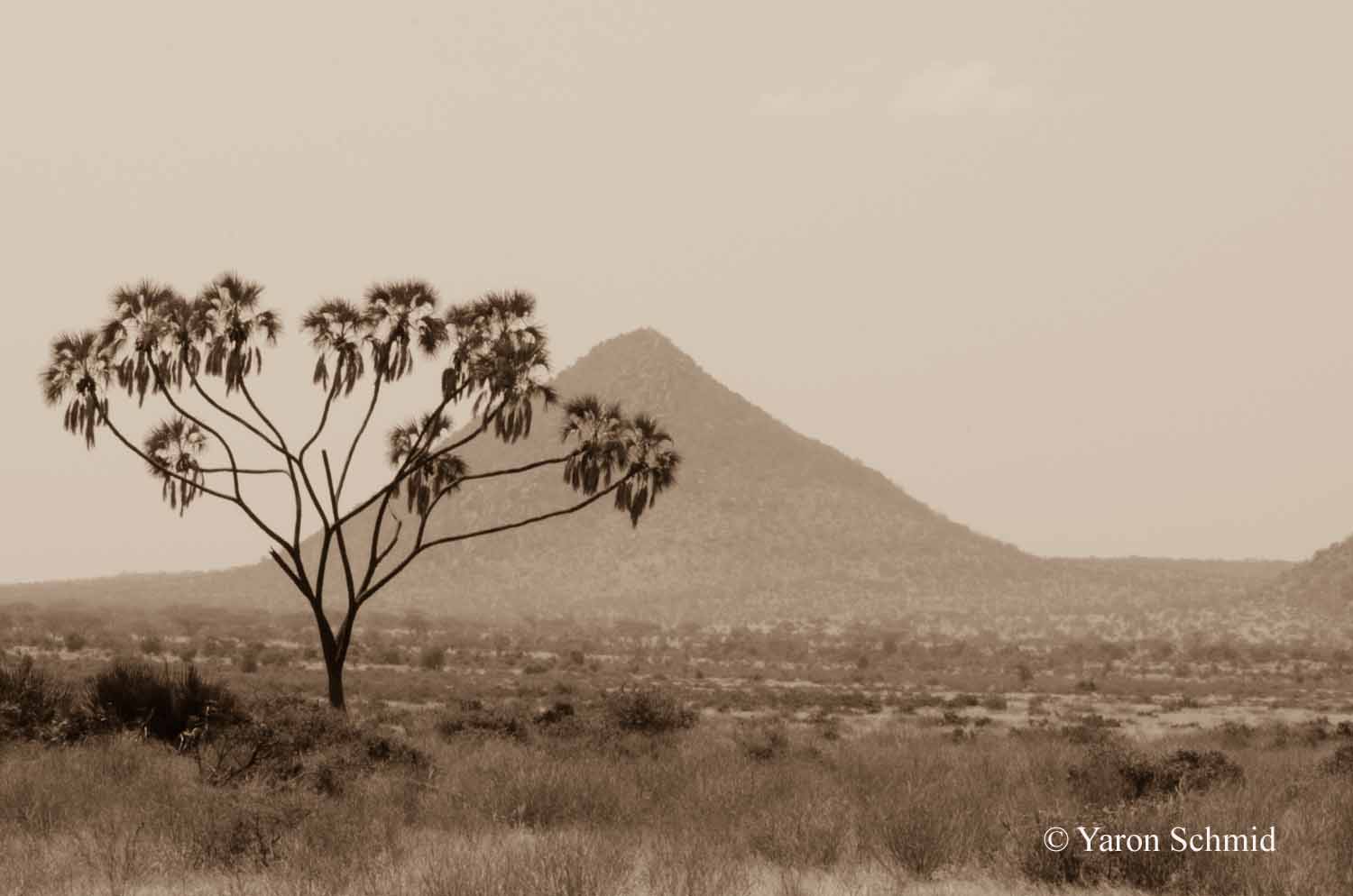 Pyramid Mountain