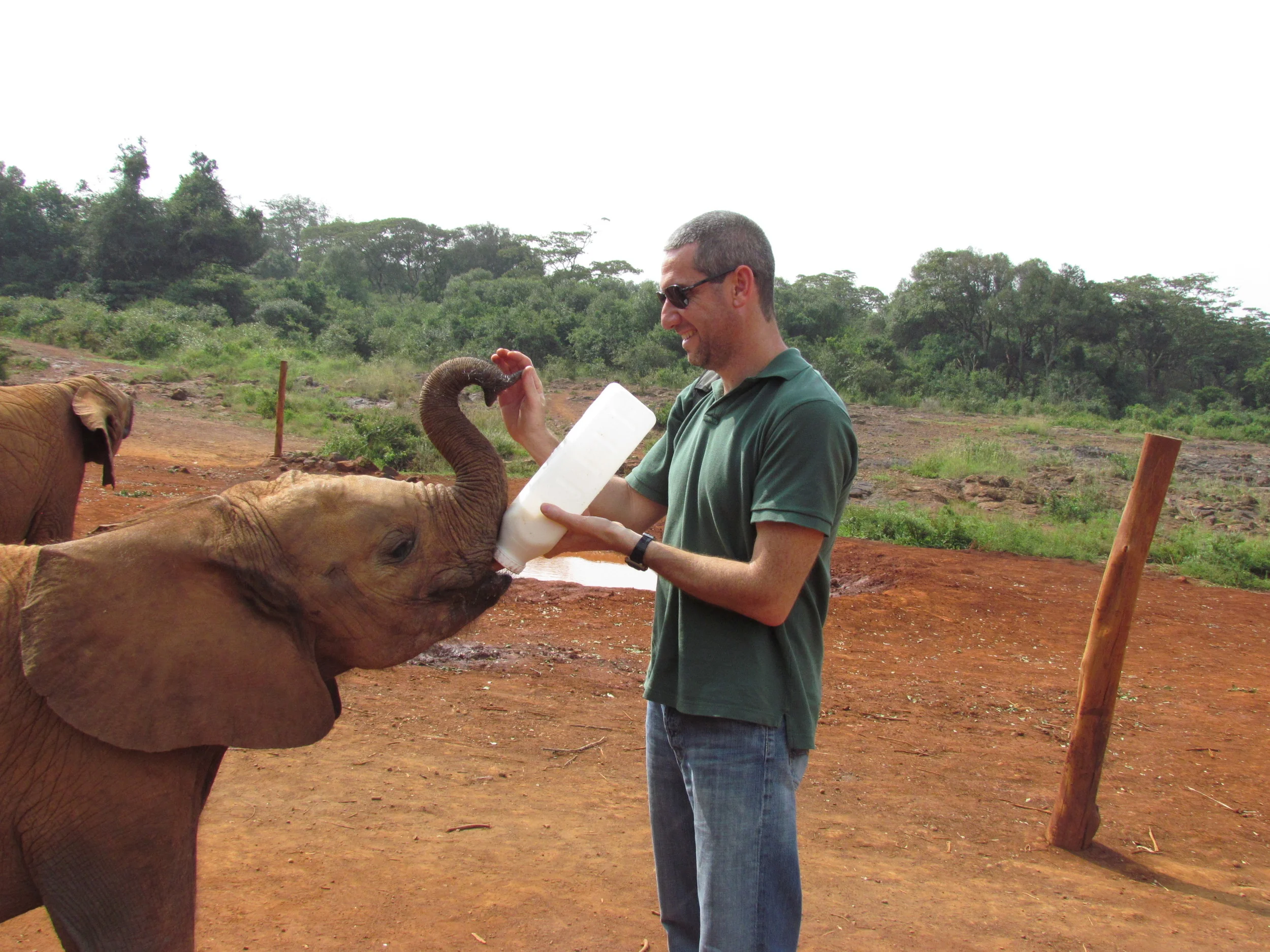 David Sheldrick Wildlife Trust - Nairobi, Kenya 2011