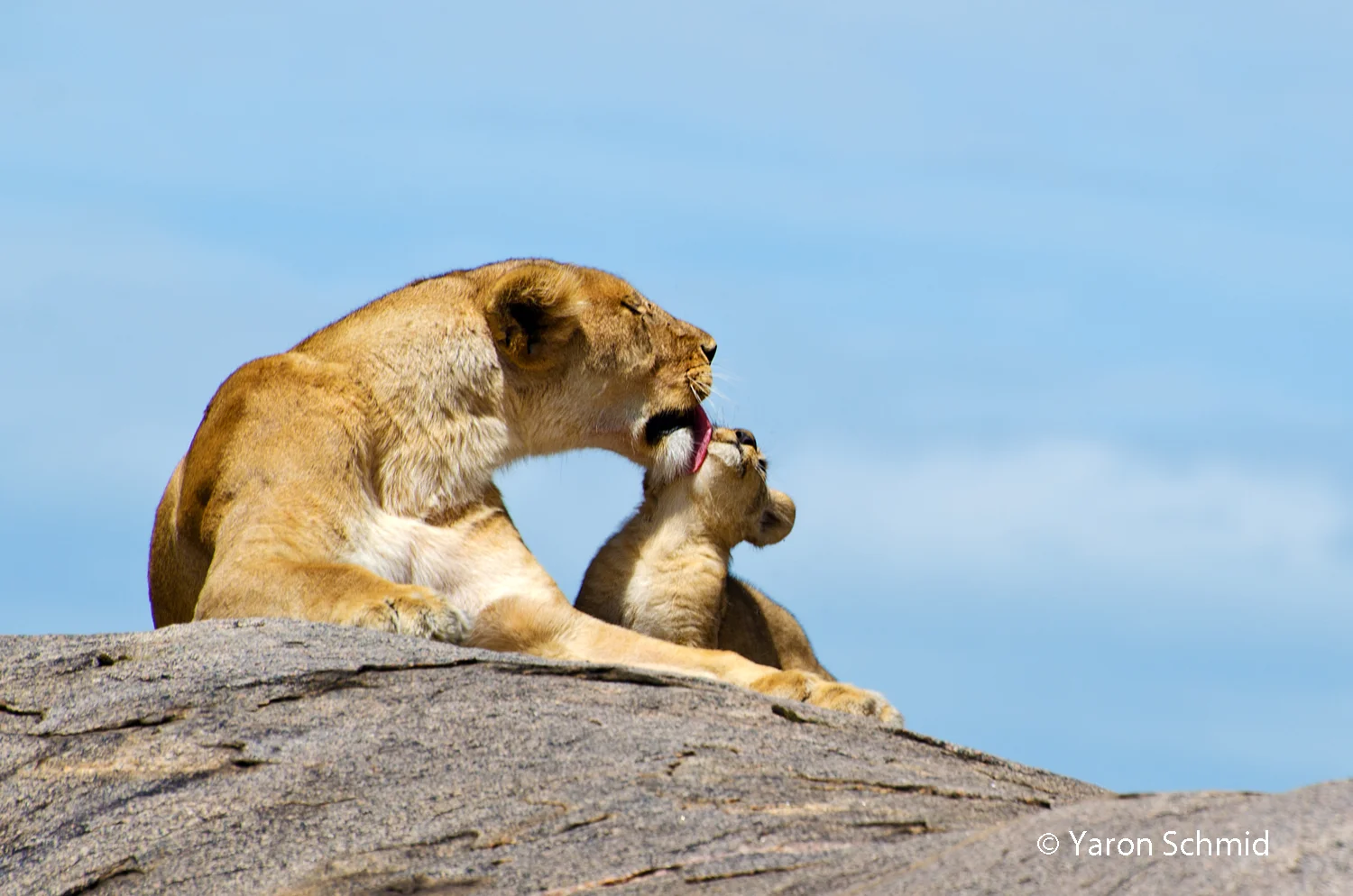 SERENGETI NATIONAL PARK, TANZANIA