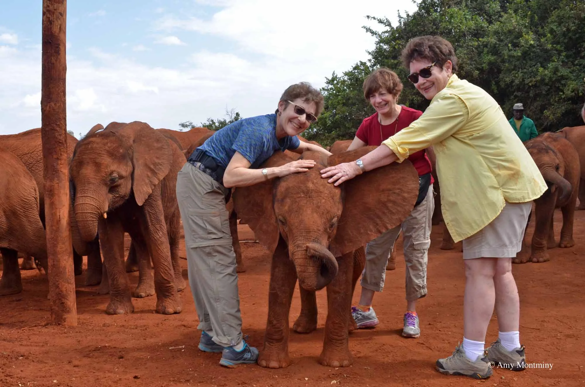 DAVID SHELDRICK WILDLIFE TRUST - NAIROBI