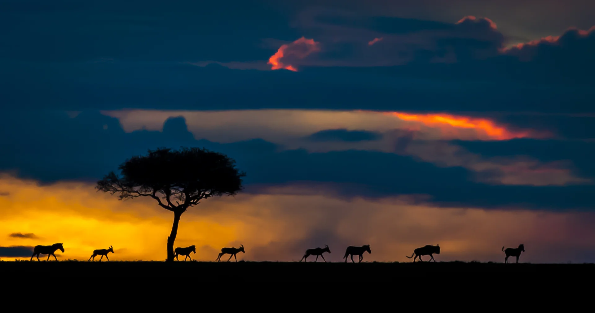Perfect African Sunset