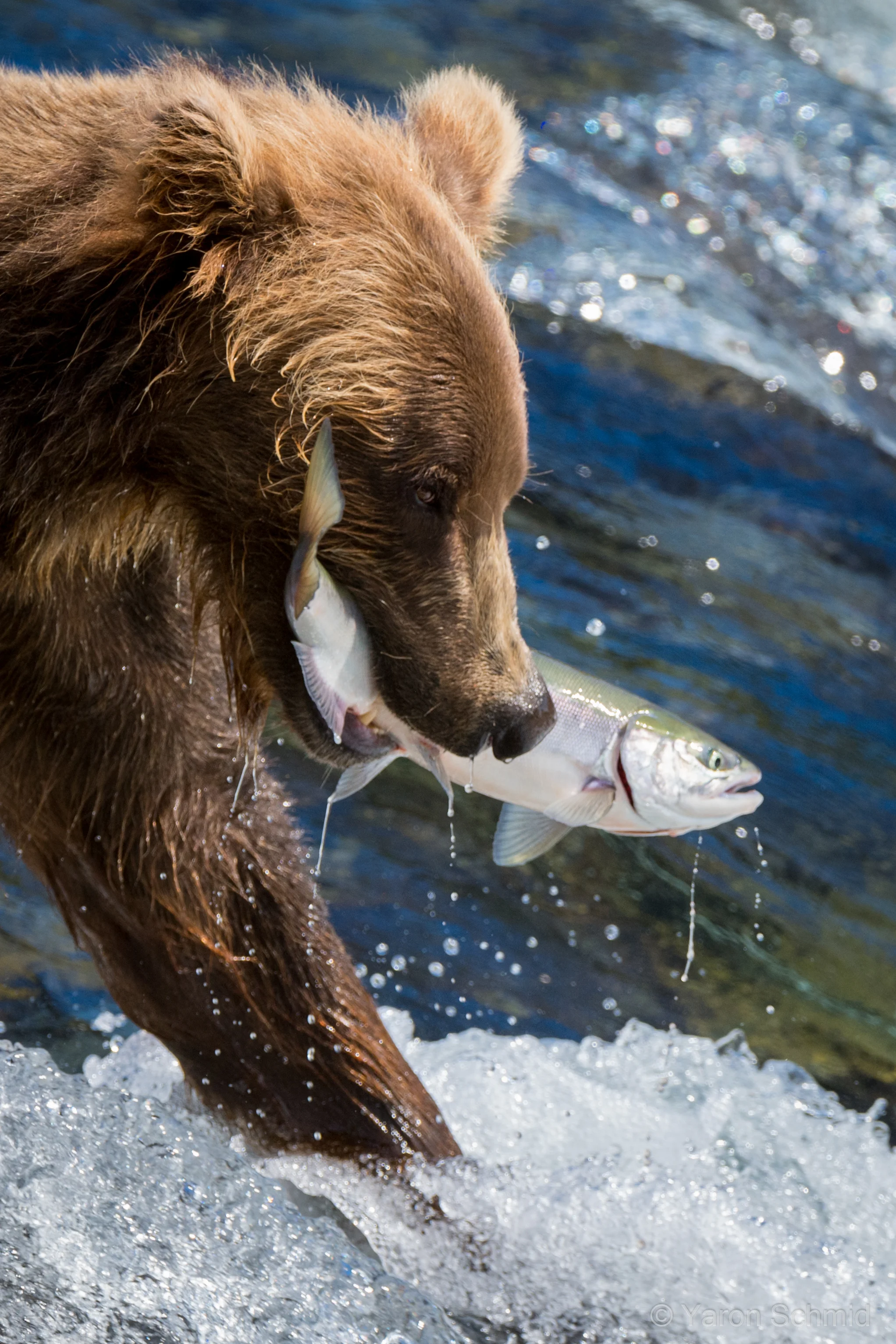 Gone Fishing