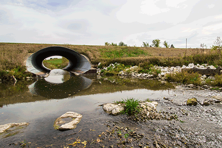 Buck Creek Streambank & Fish Passage Restoration