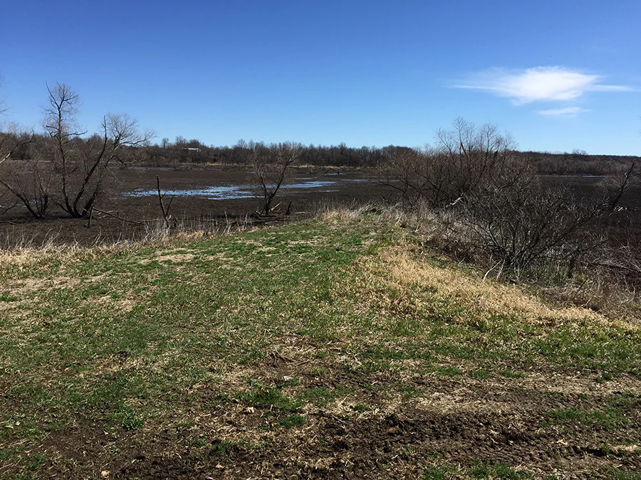 Walker Branch Wetland Study