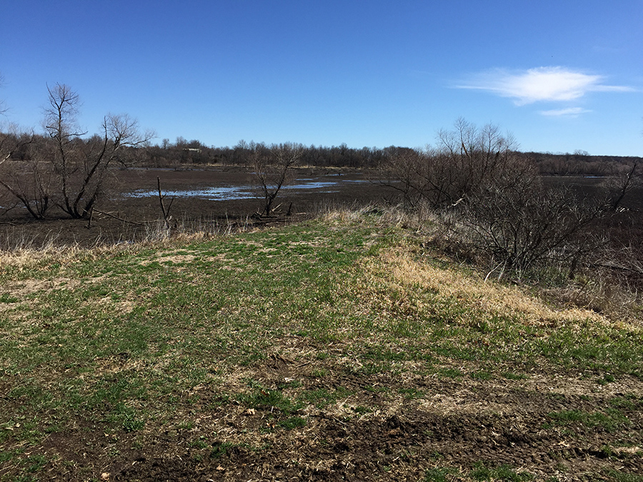 lt leon - Walker Branch Wetland.jpg