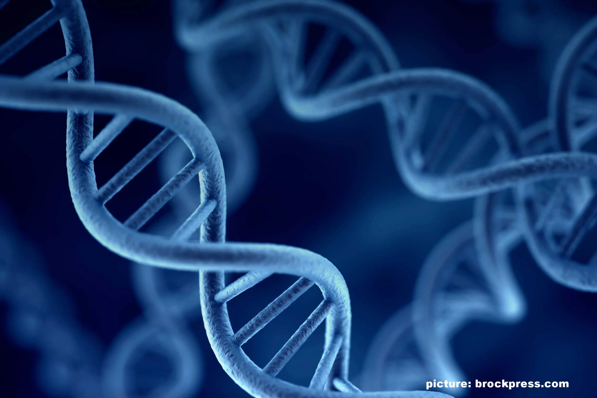 Genetics play a role in job changes