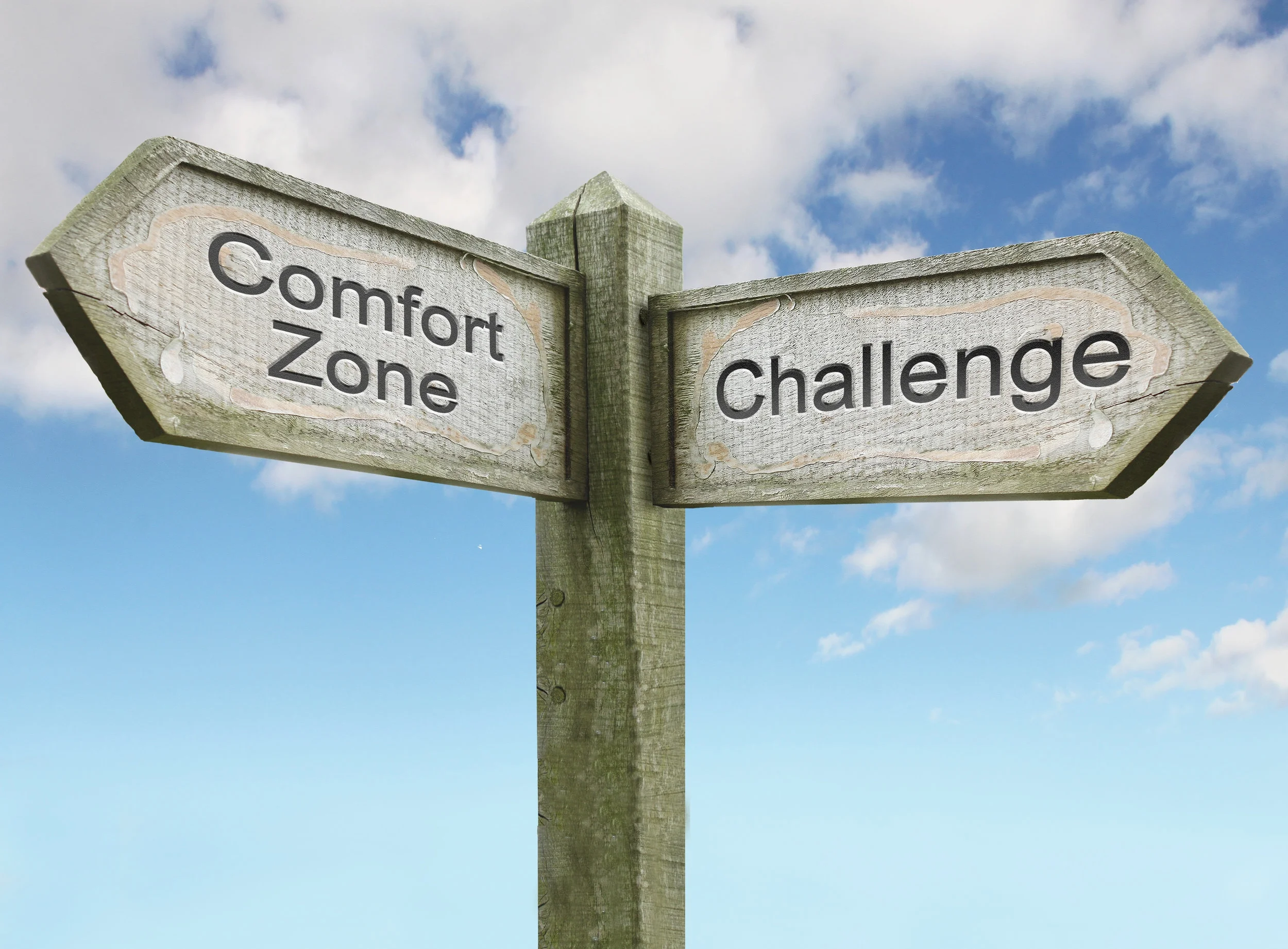 Actively seeking challenges at work boosts engagement