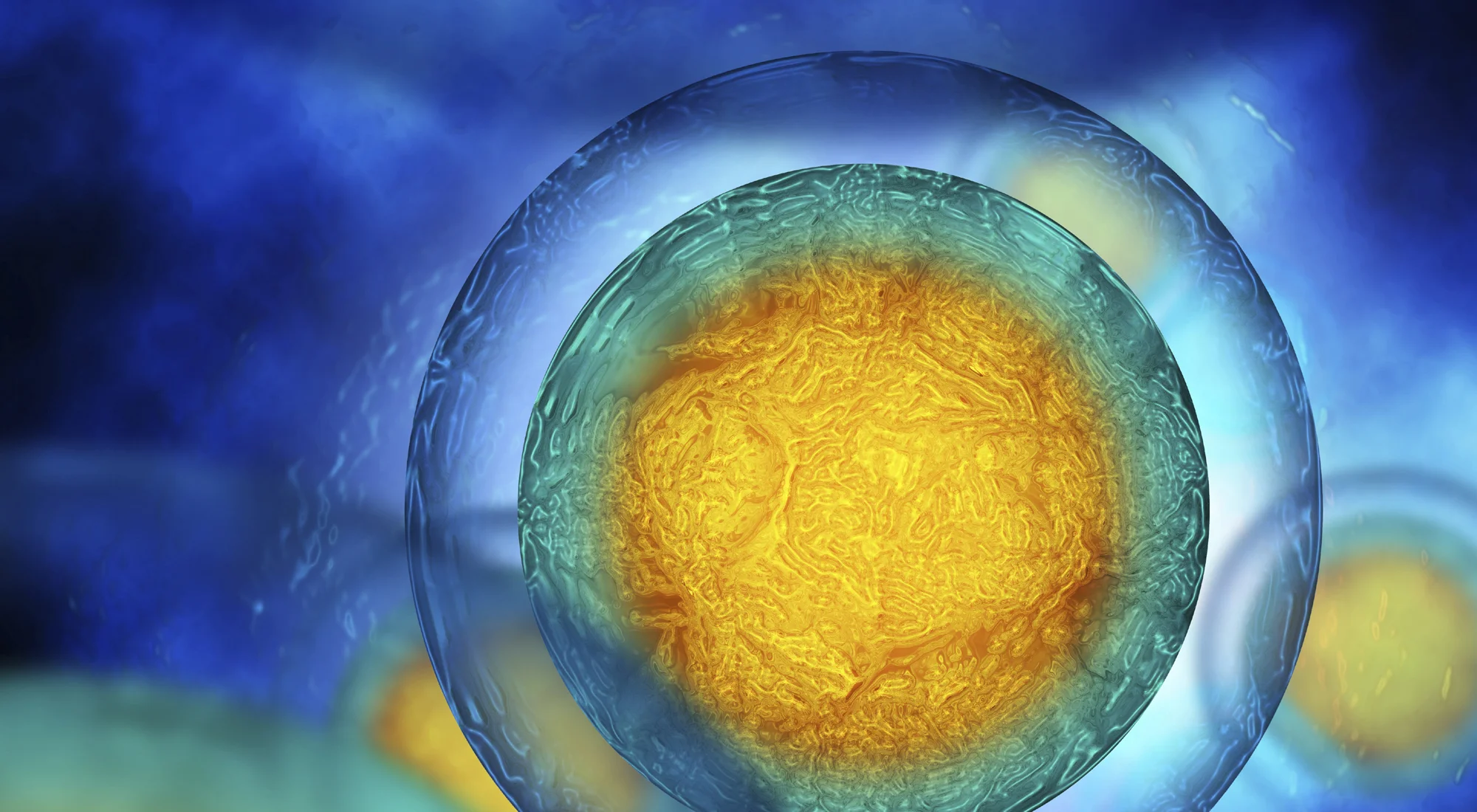 What We Screen For Header.jpg